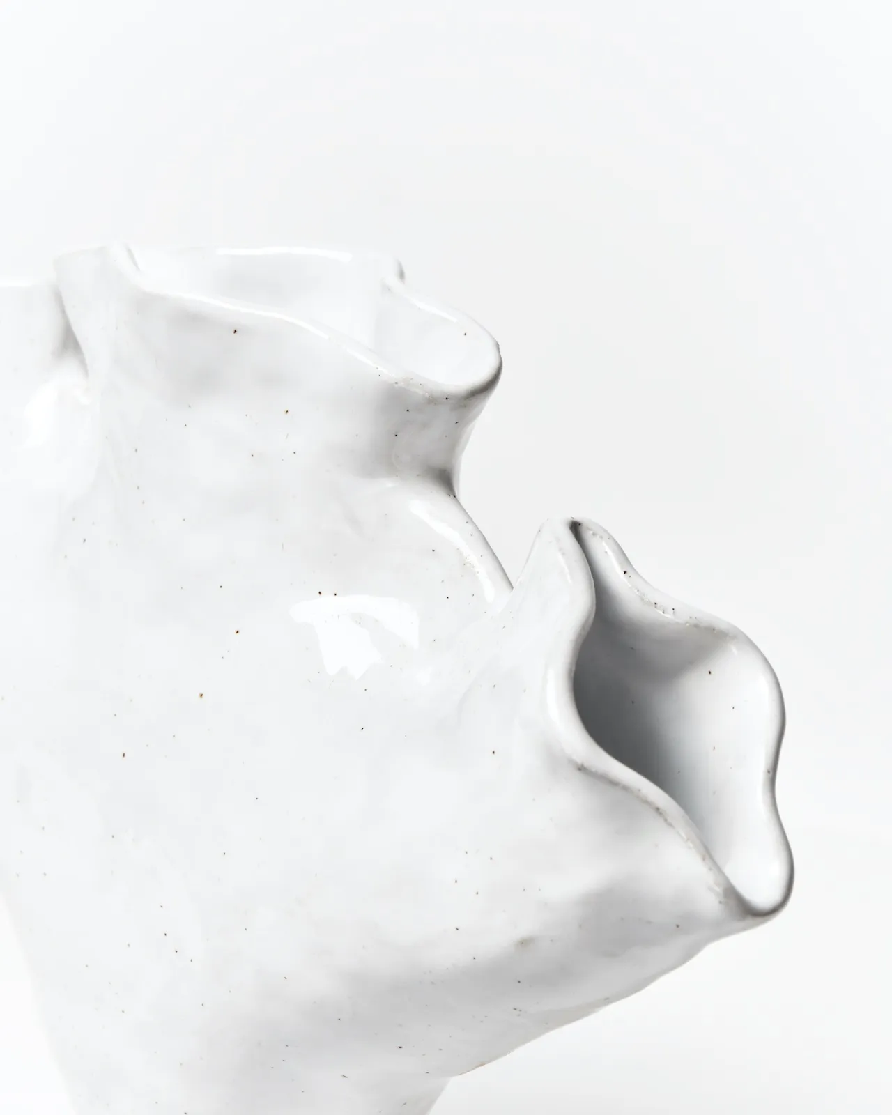 ALI HEWSON: TULIPIERES
