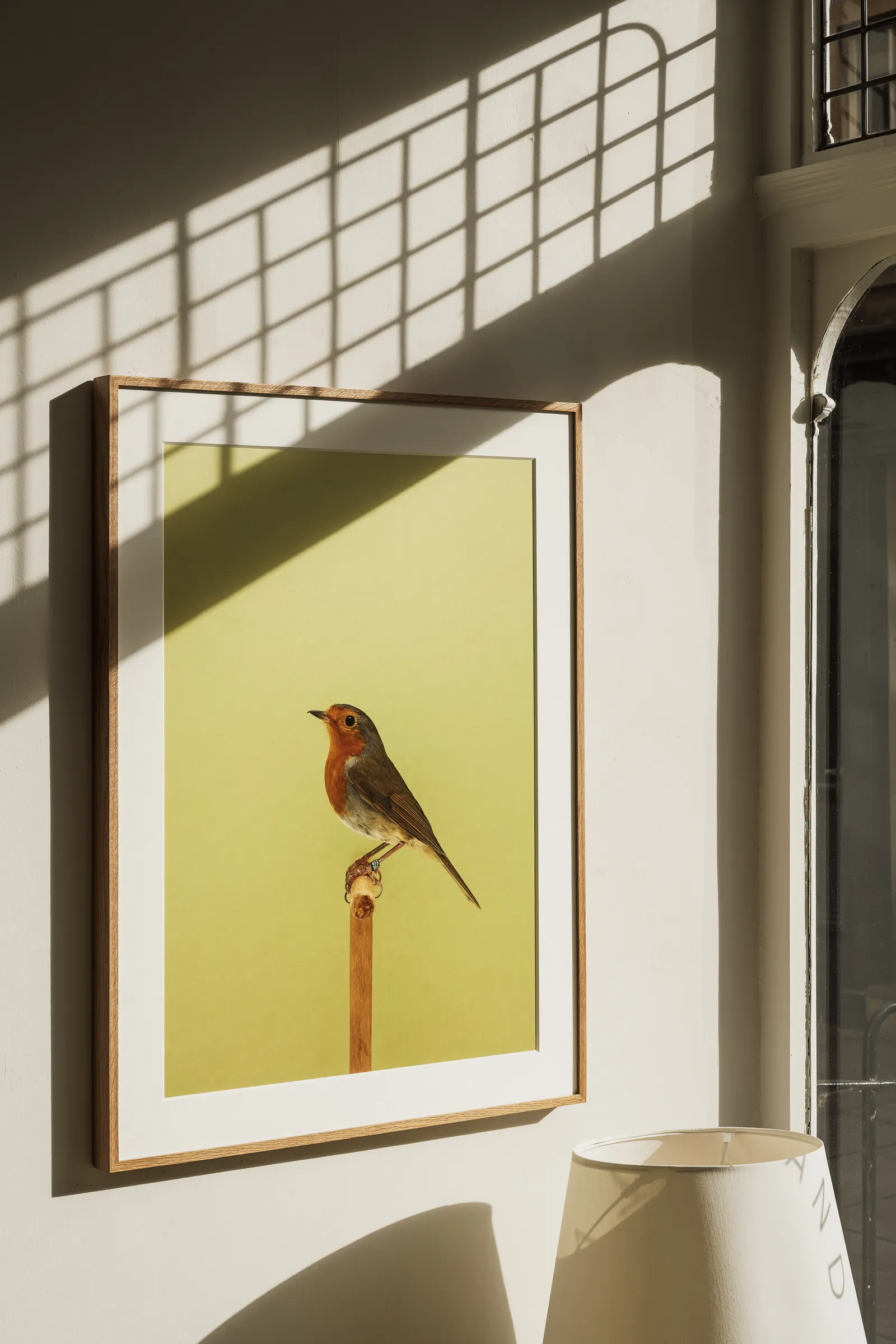 LUKE STEPHENSON: AN INCOMPLETE DICTIONARY OF SHOW BIRDS