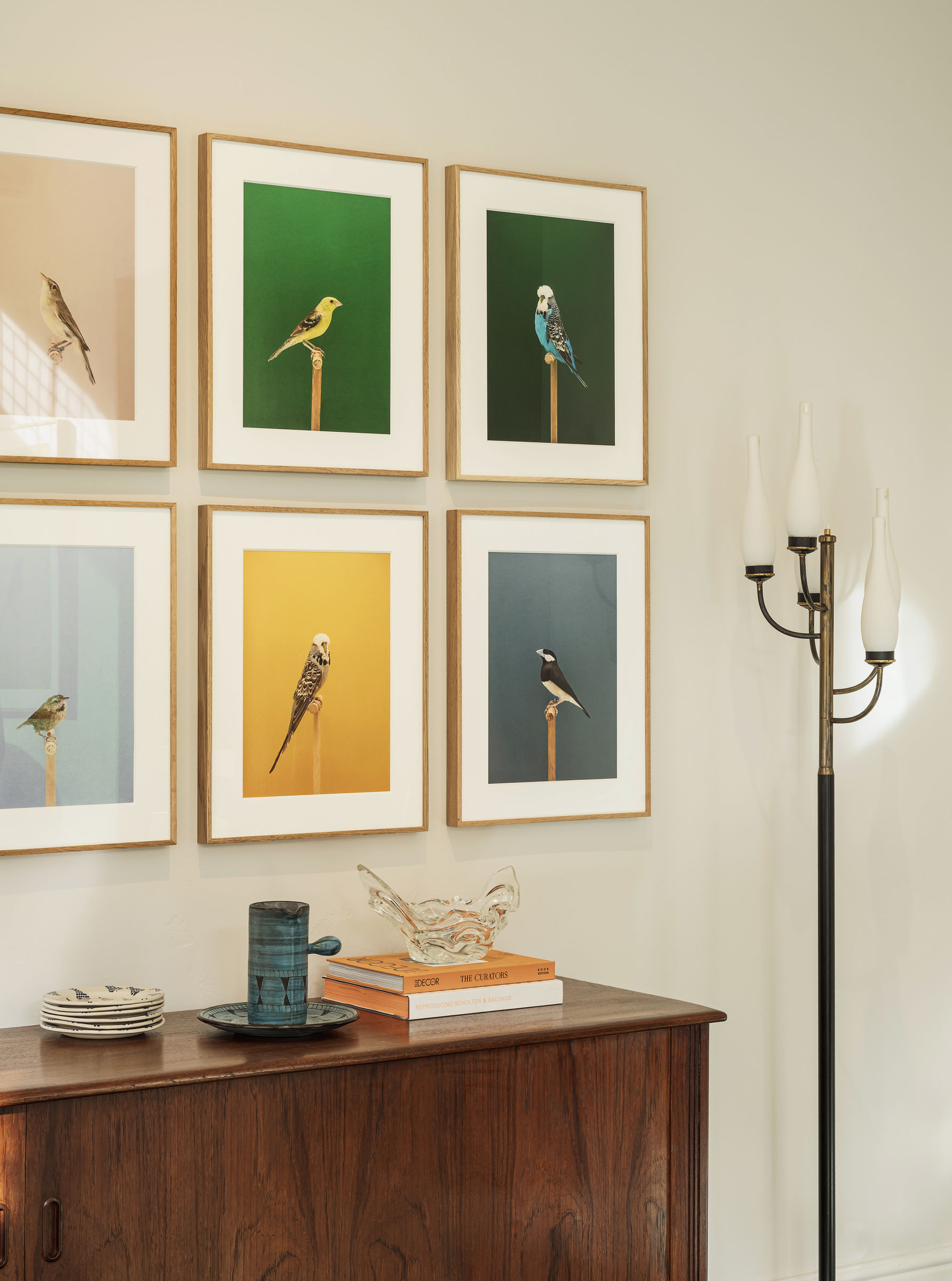 LUKE STEPHENSON: AN INCOMPLETE DICTIONARY OF SHOW BIRDS