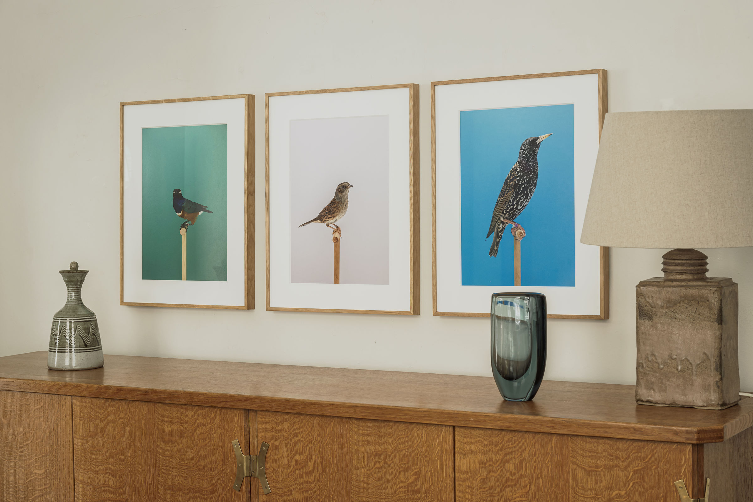 LUKE STEPHENSON: AN INCOMPLETE DICTIONARY OF SHOW BIRDS