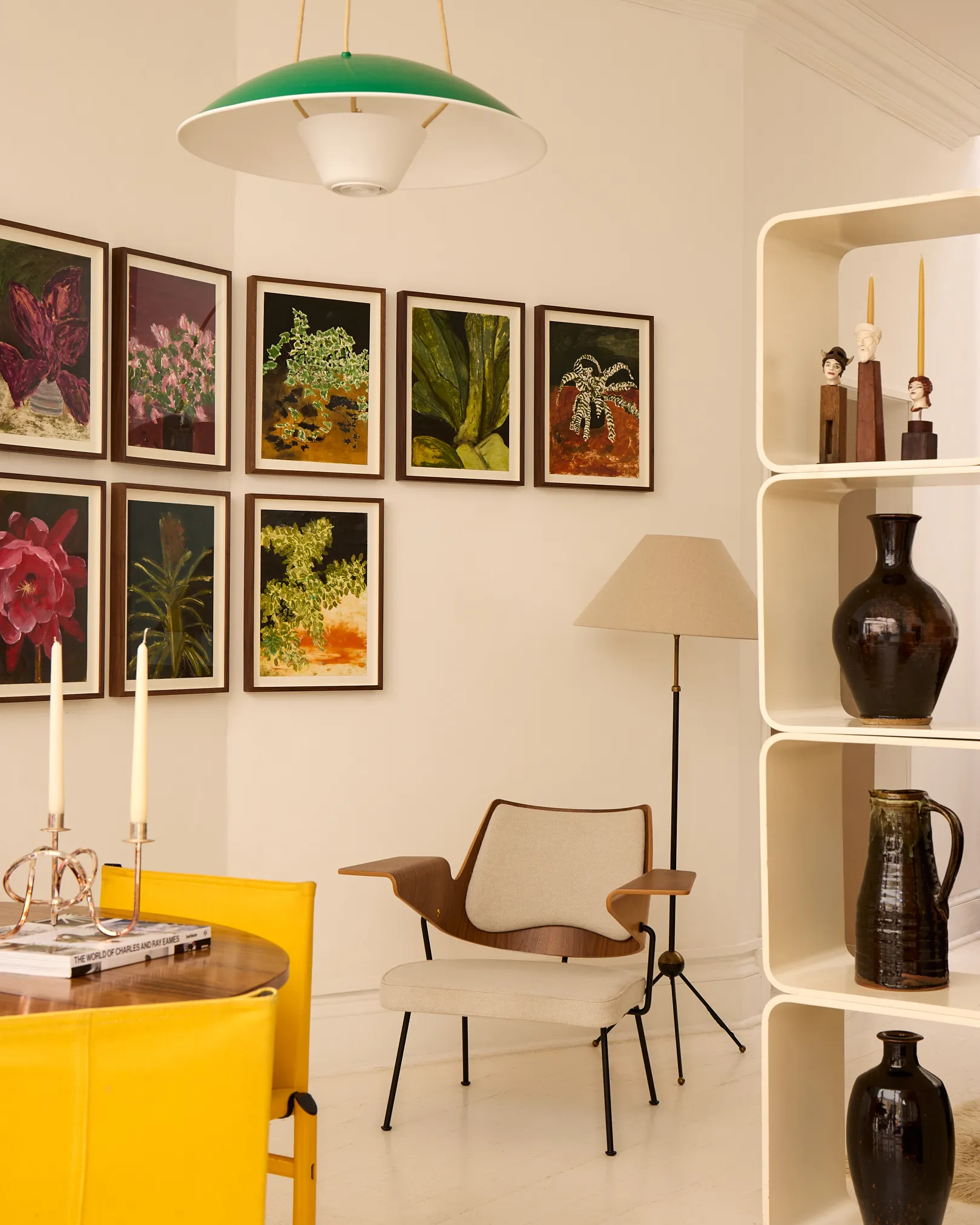 DAVID TURLEY: HOUSE PLANT CARE