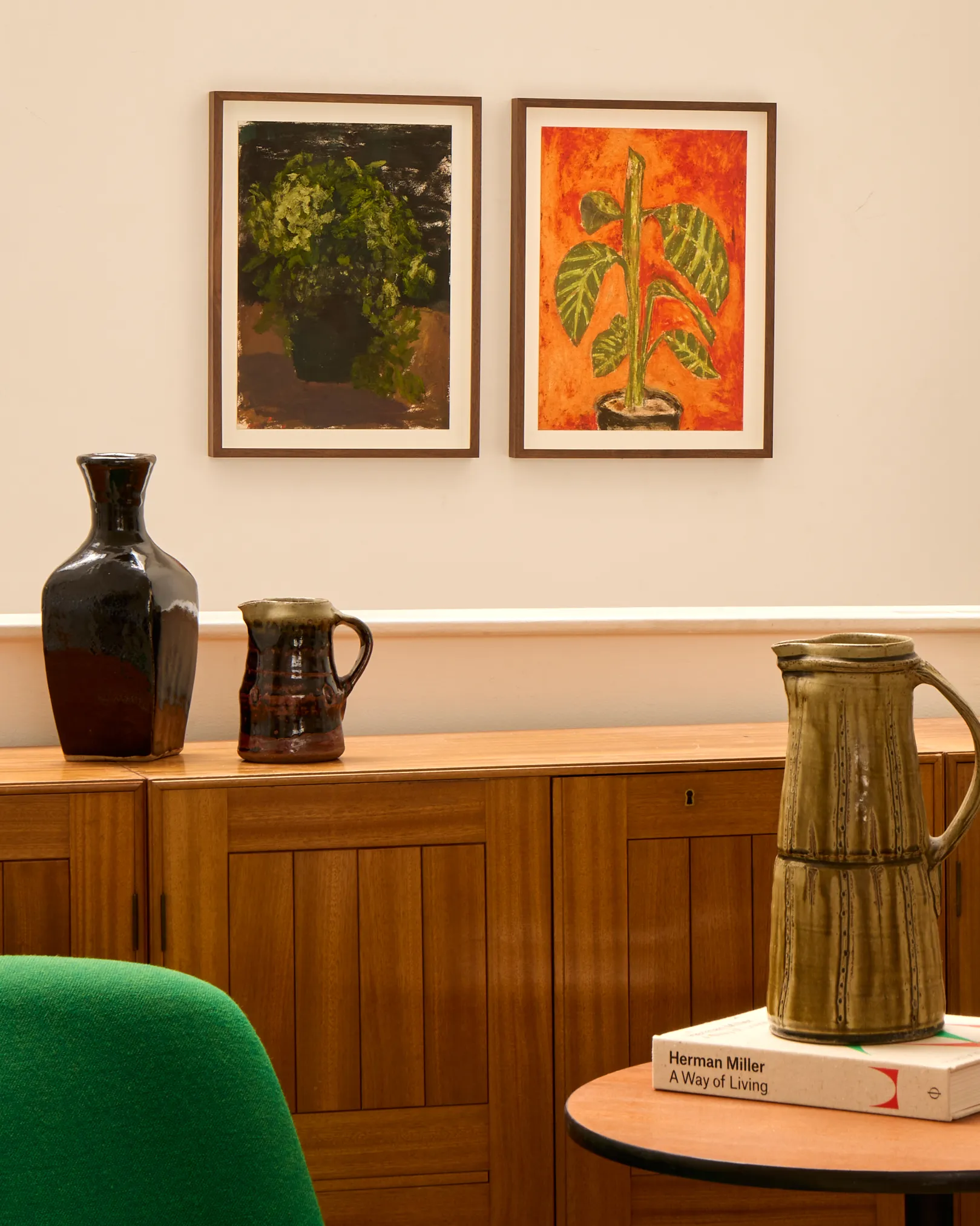 DAVID TURLEY: HOUSE PLANT CARE