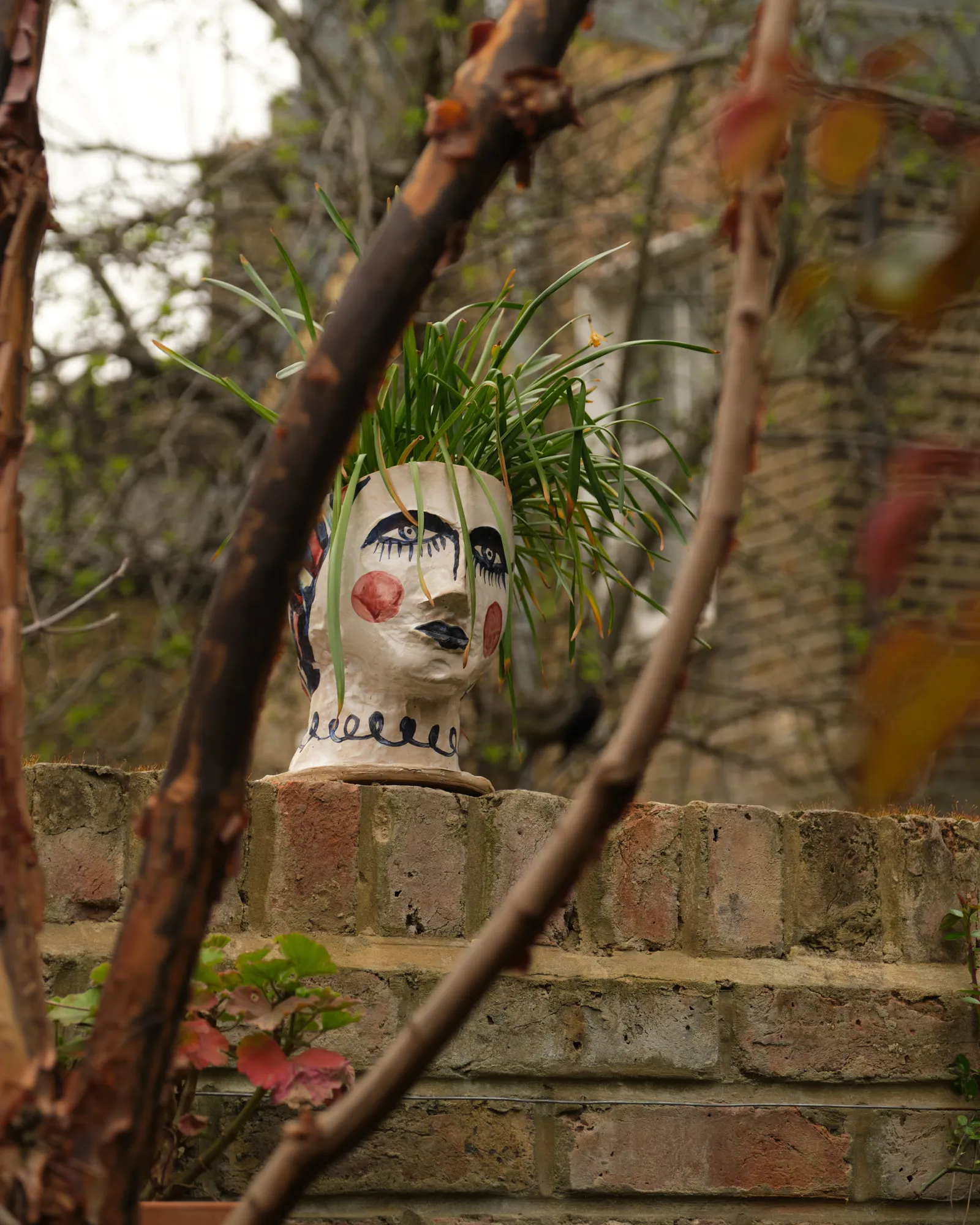 One of Gavin's 'potheads' peers down from the garden wall.