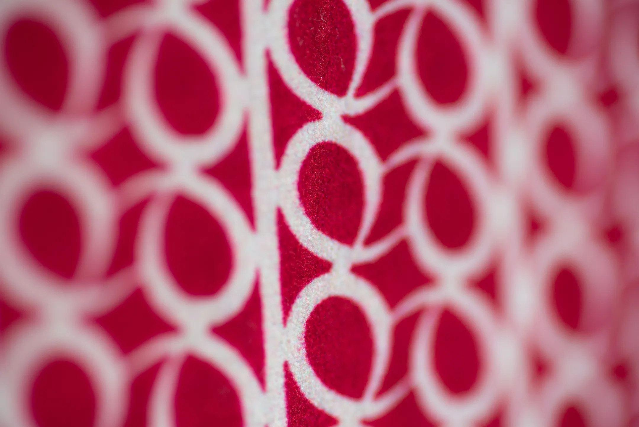Trusley in velvet image 7