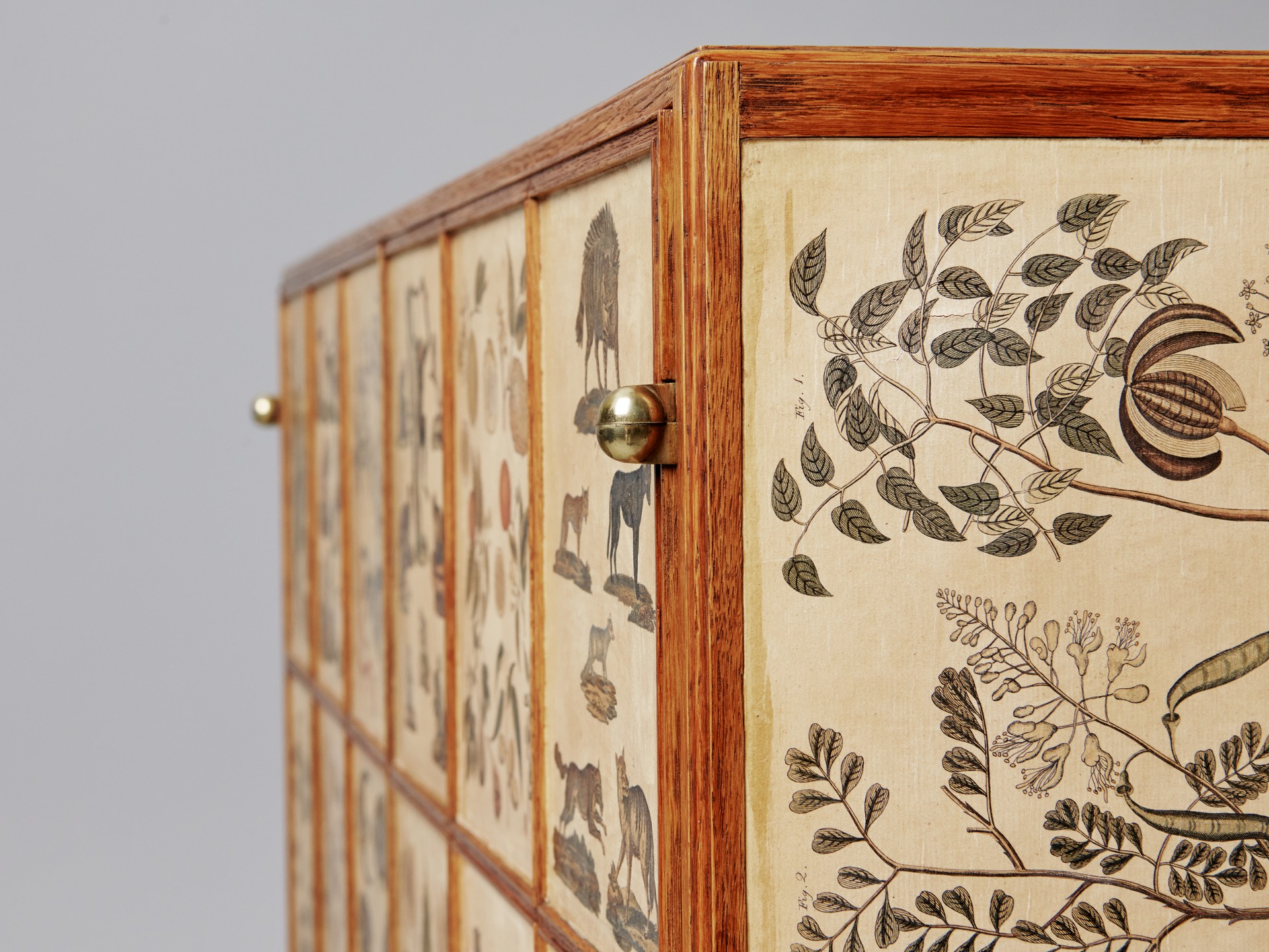 'Animal' Cabinet image 18
