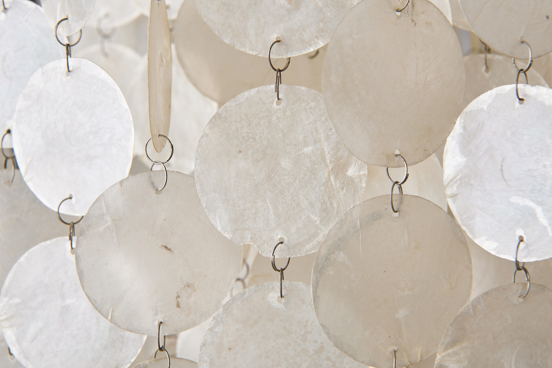 Pair of Shell Lamps image 5
