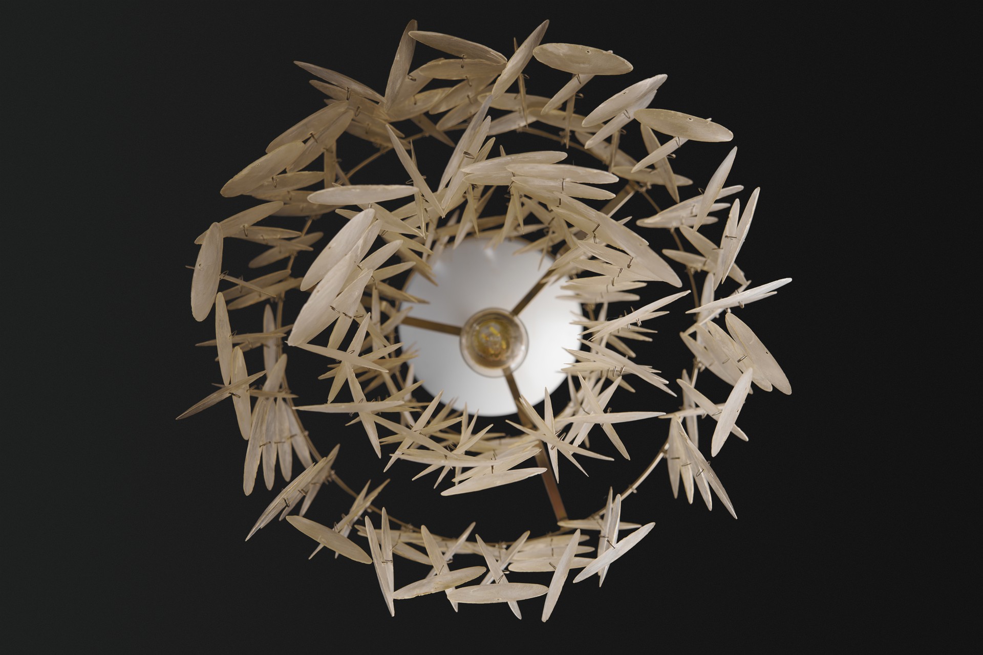 "Fun" Ceiling Lamp image 6