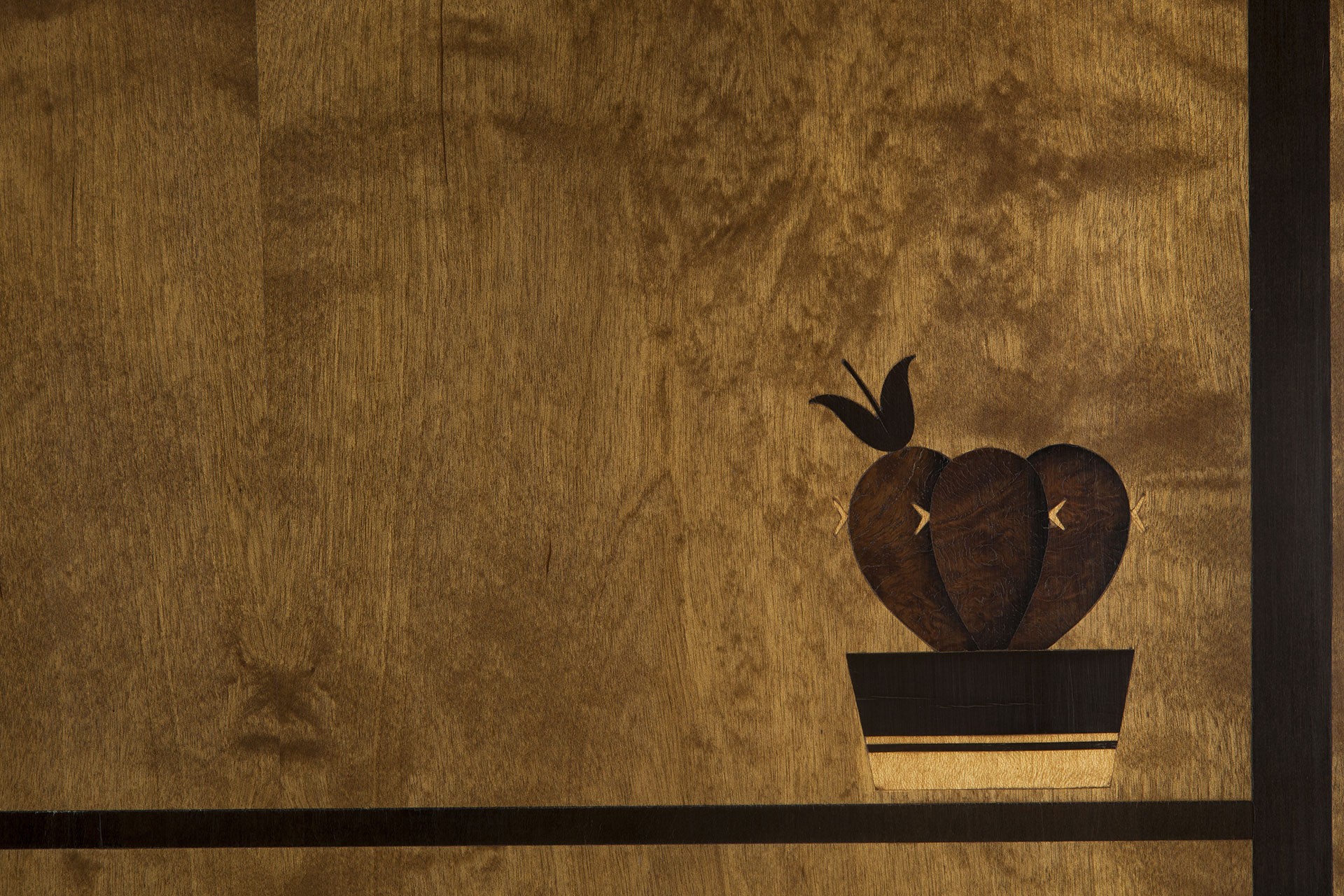 Cabinet image 5