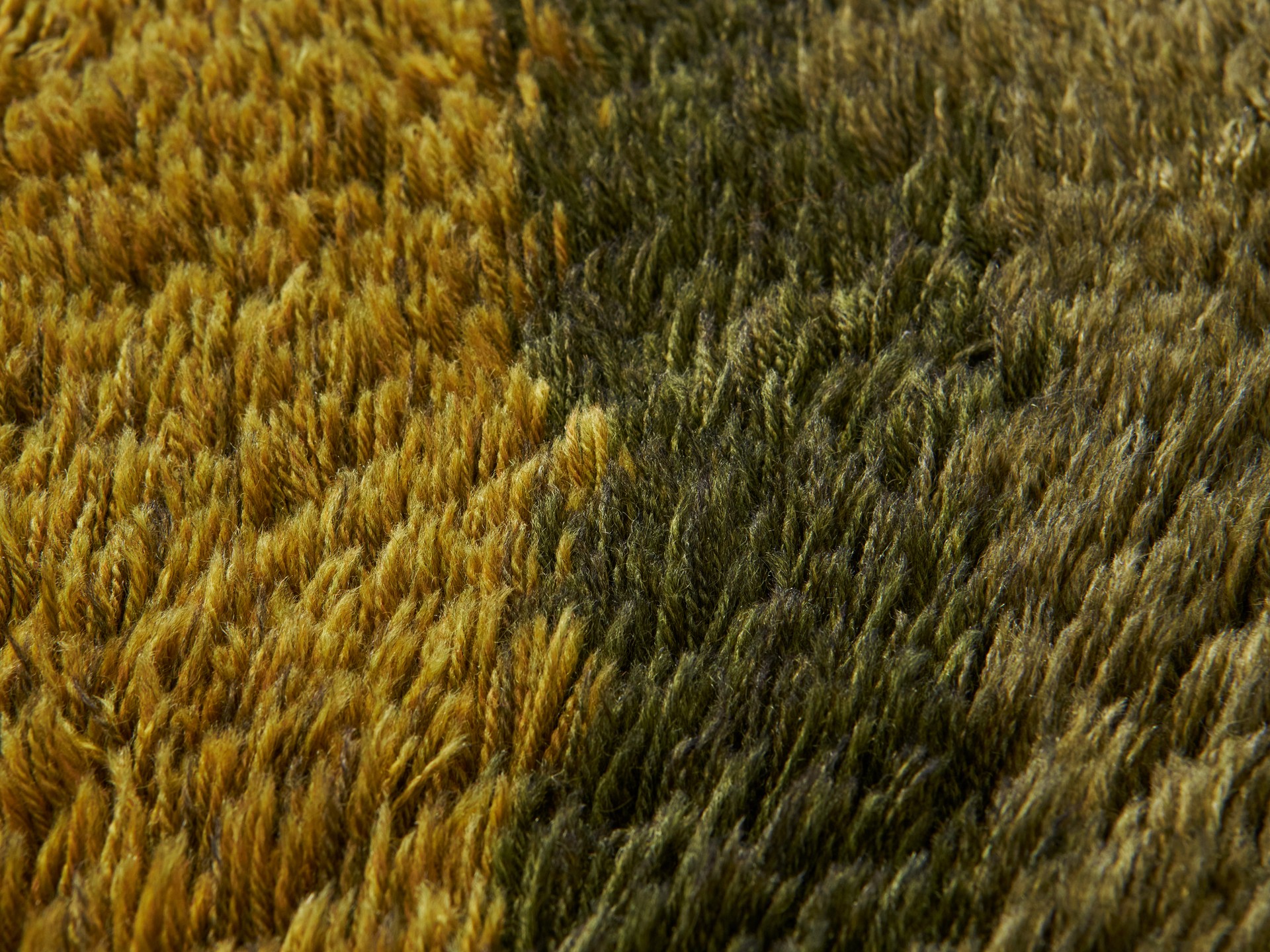 Carpet image 4