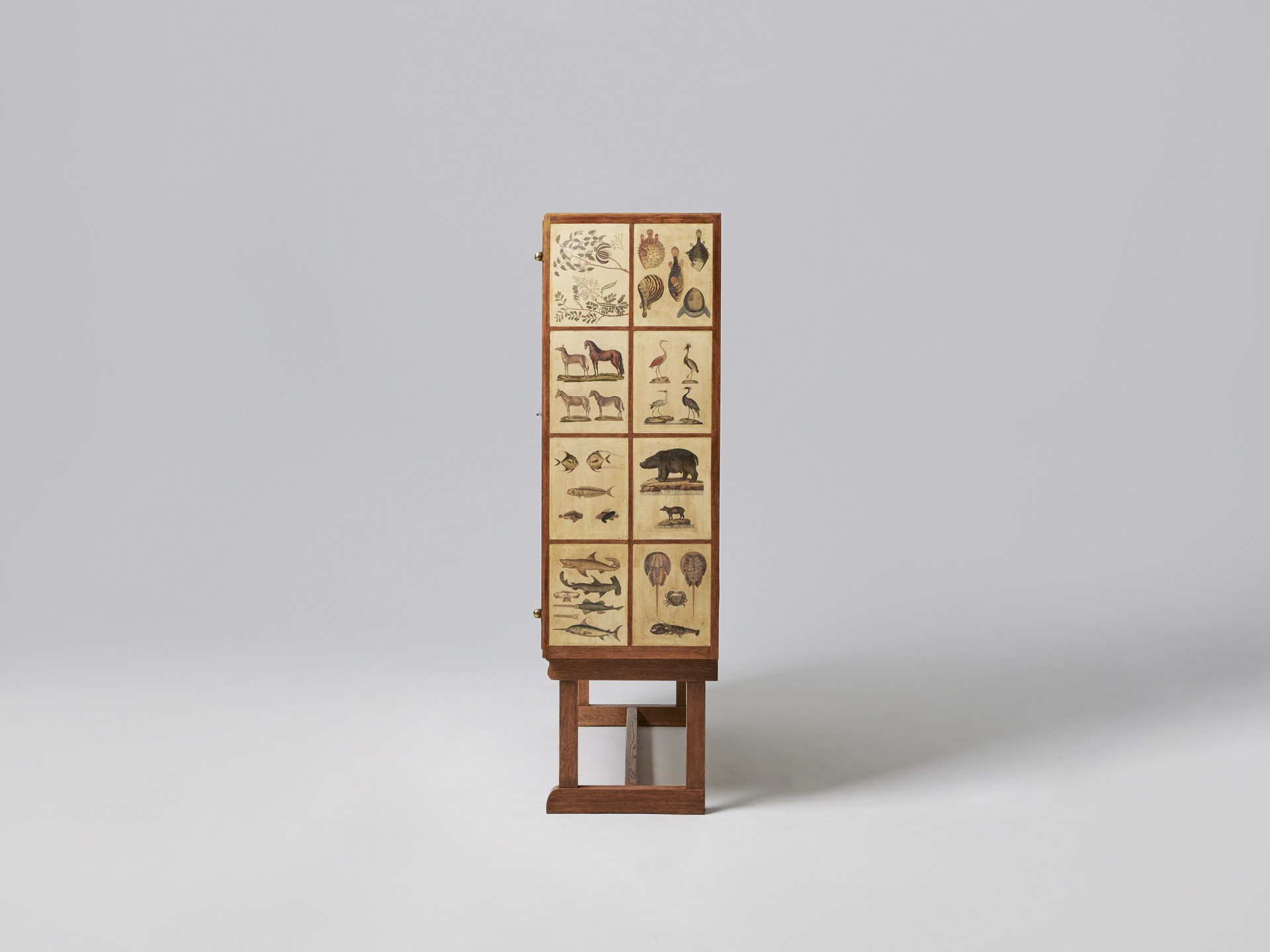 'Animal' Cabinet image 5