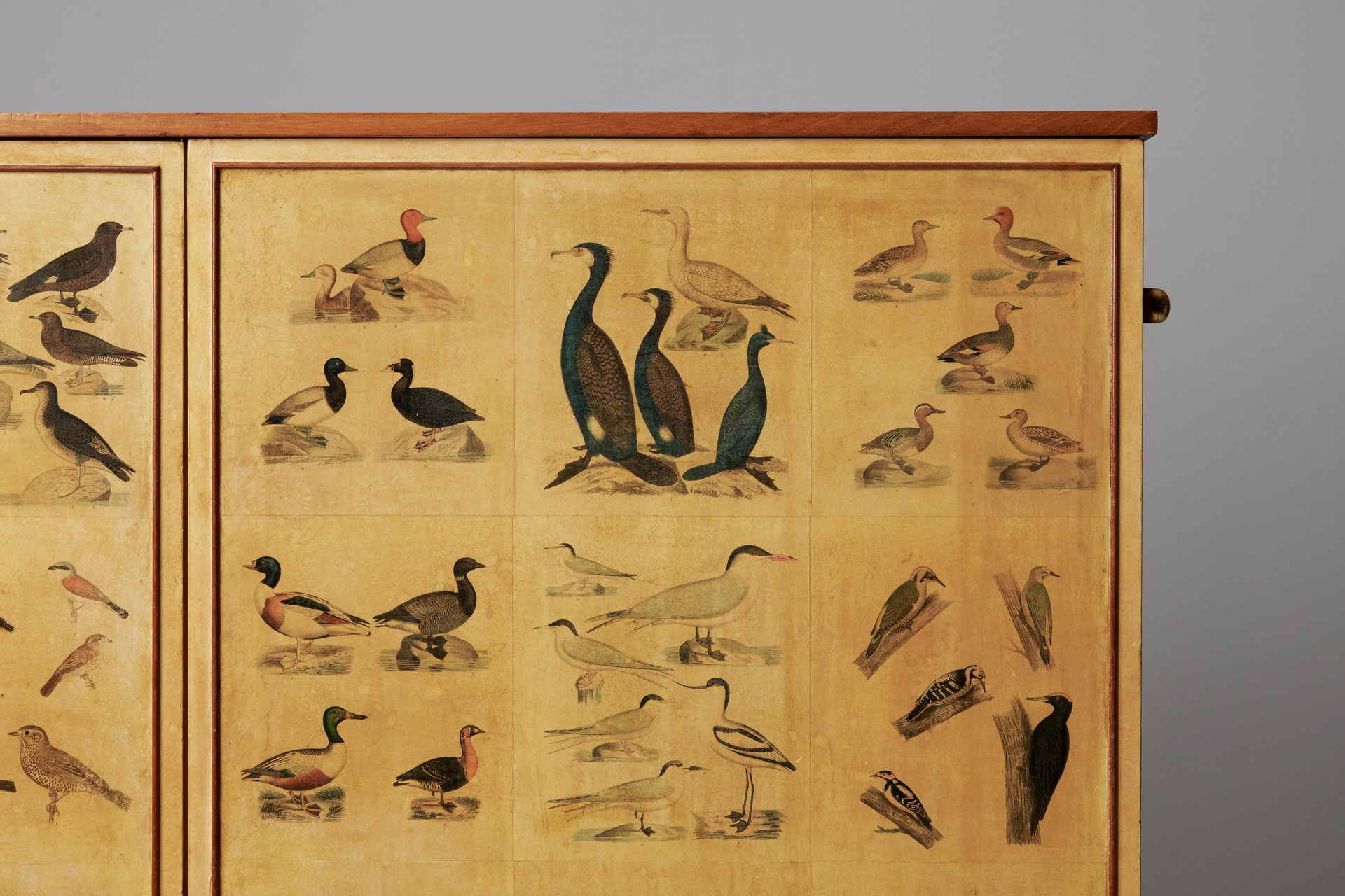 'Bird' Cabinet image 8