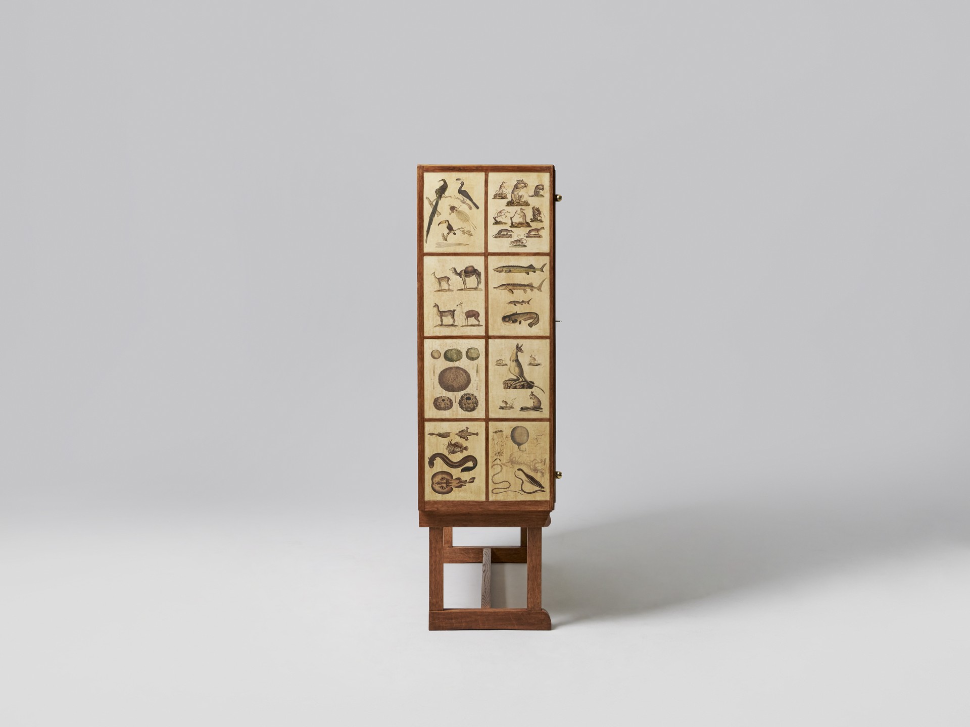 'Animal' Cabinet image 4