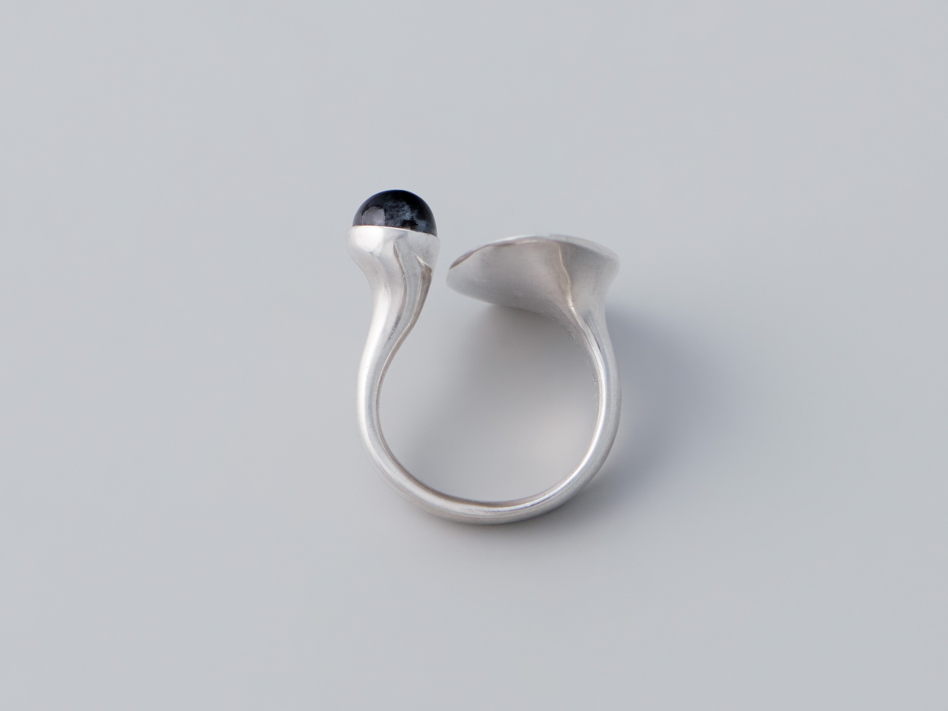 Ring image 3