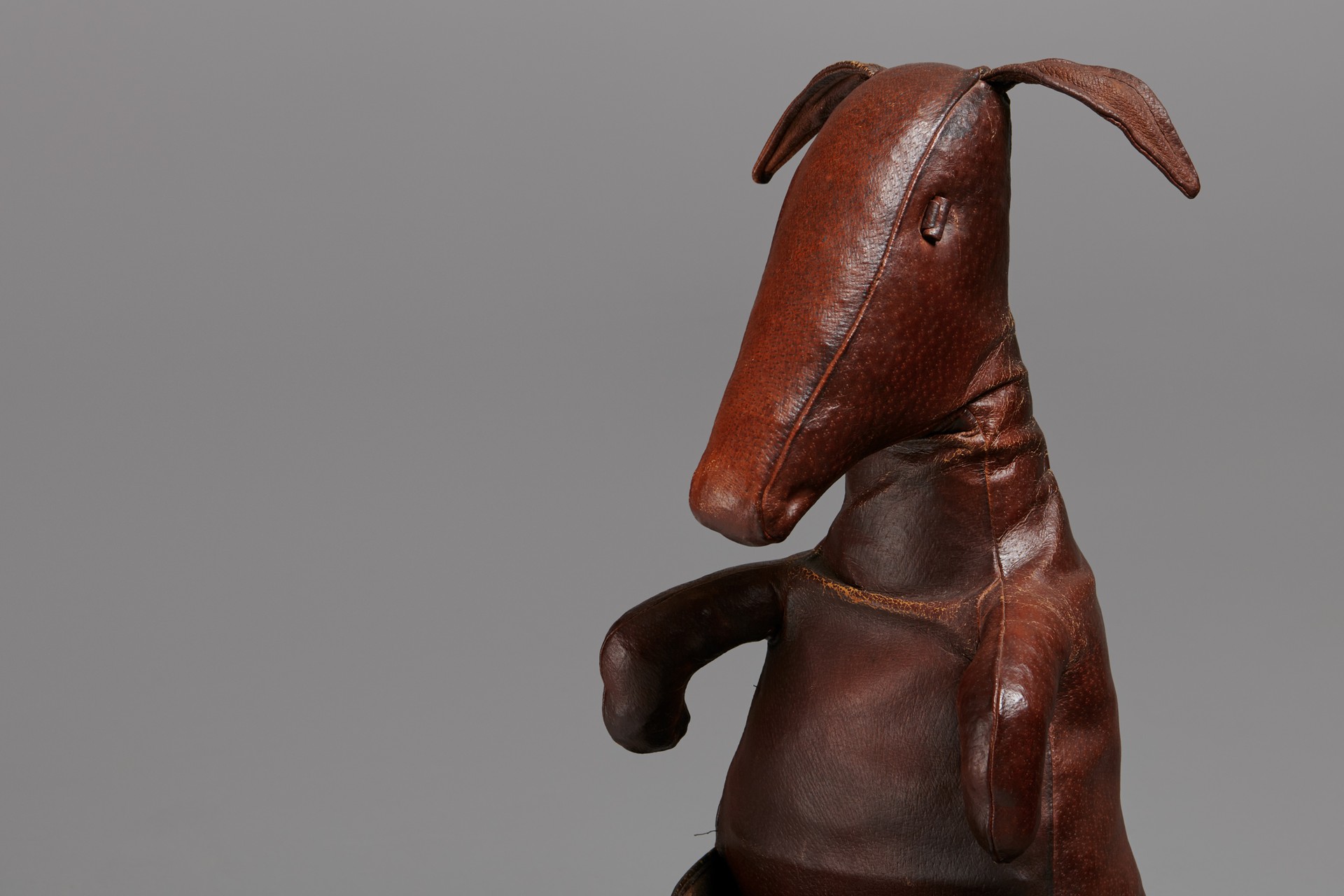 Kangaroo image 3
