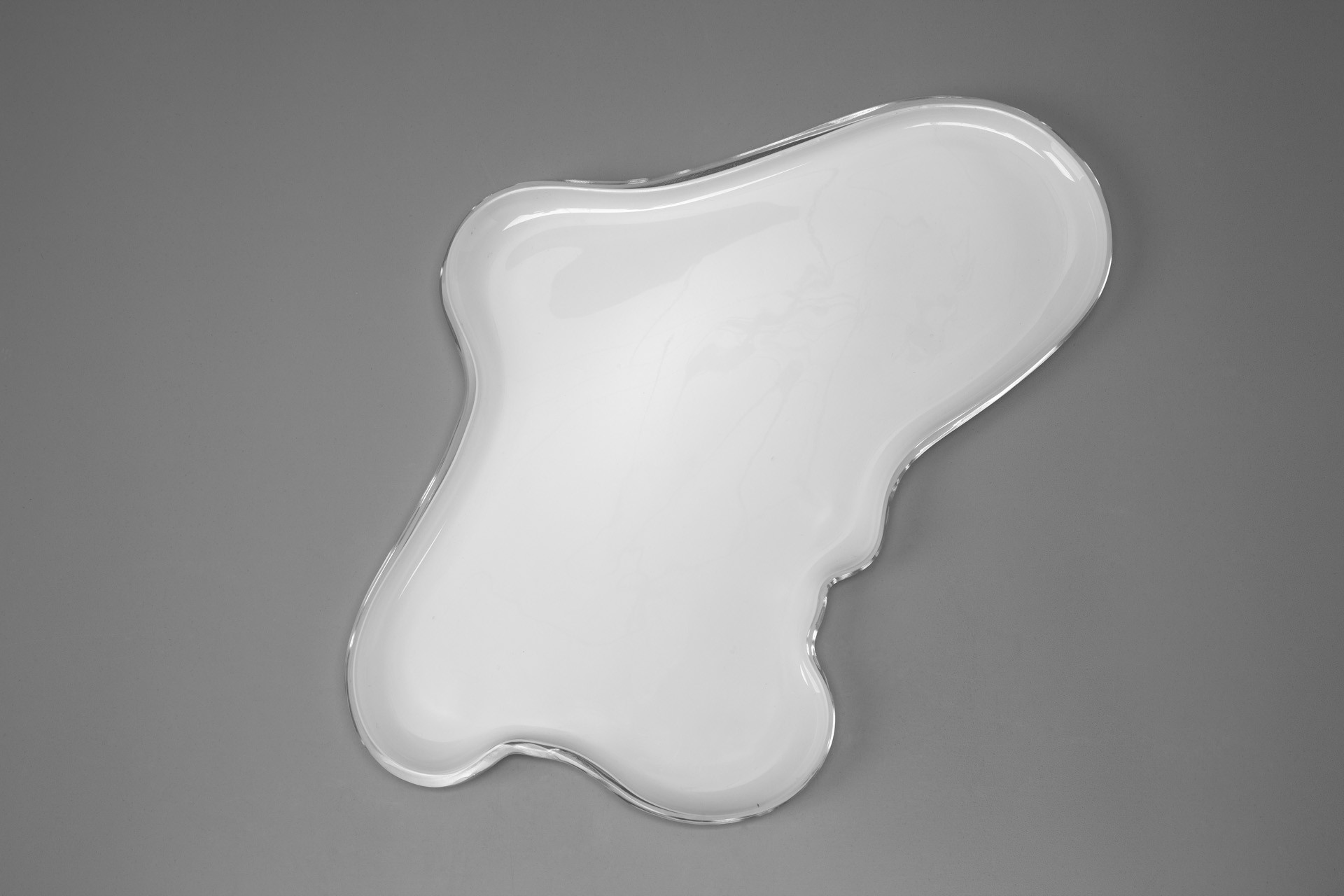 Dish Model 9748 image 2