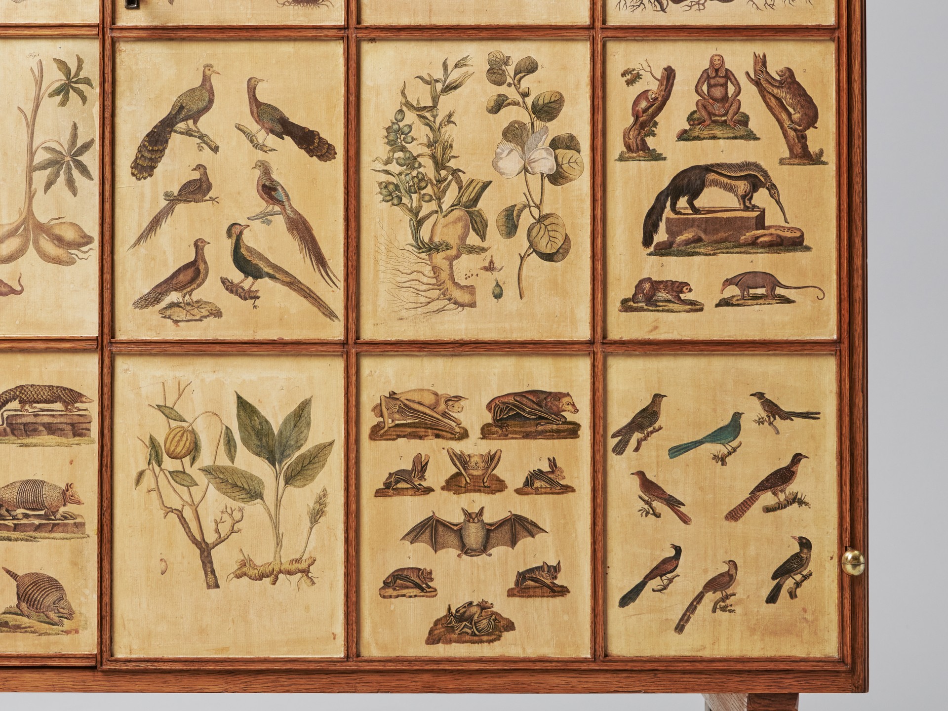'Animal' Cabinet image 20
