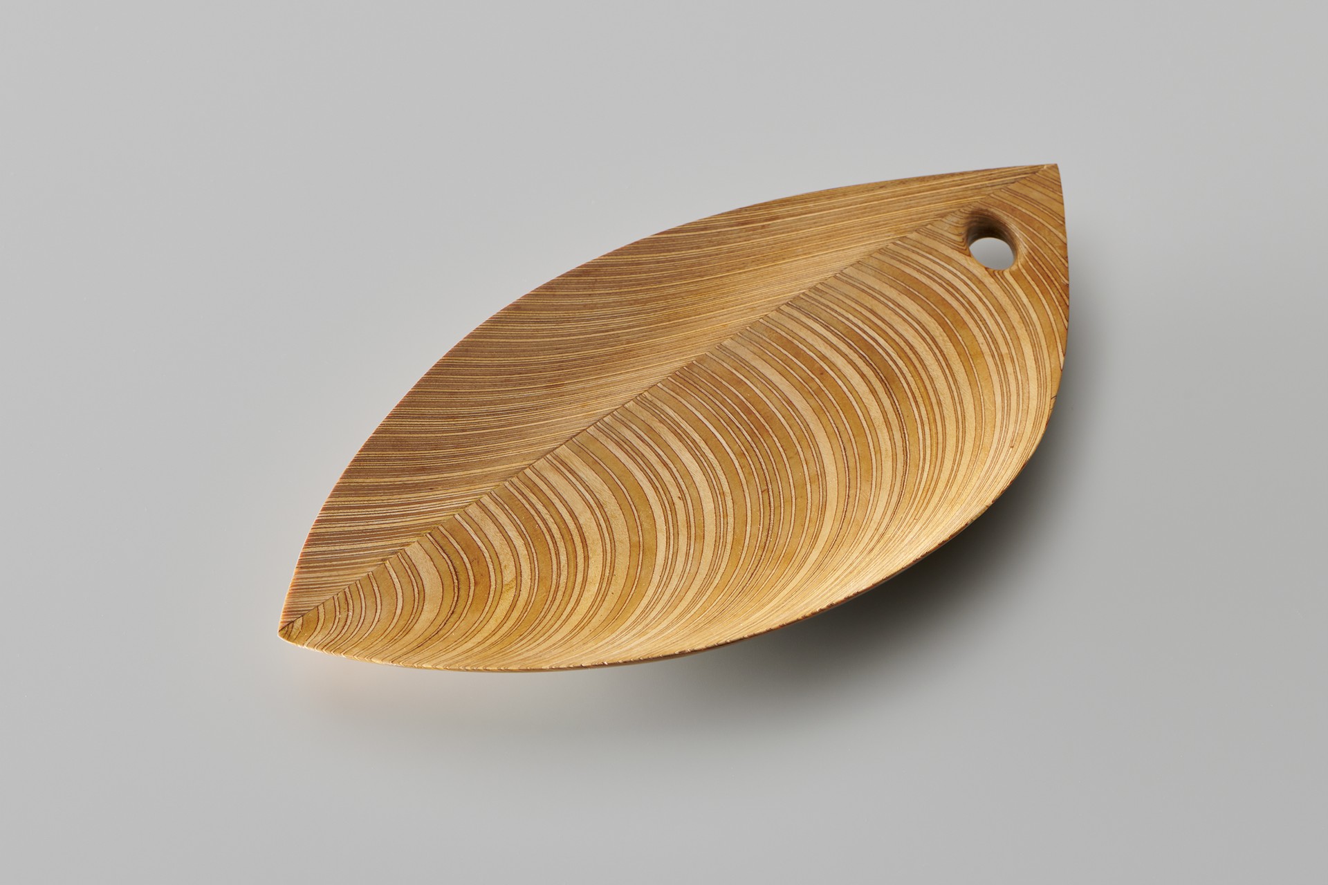 Leaf Dish image 2
