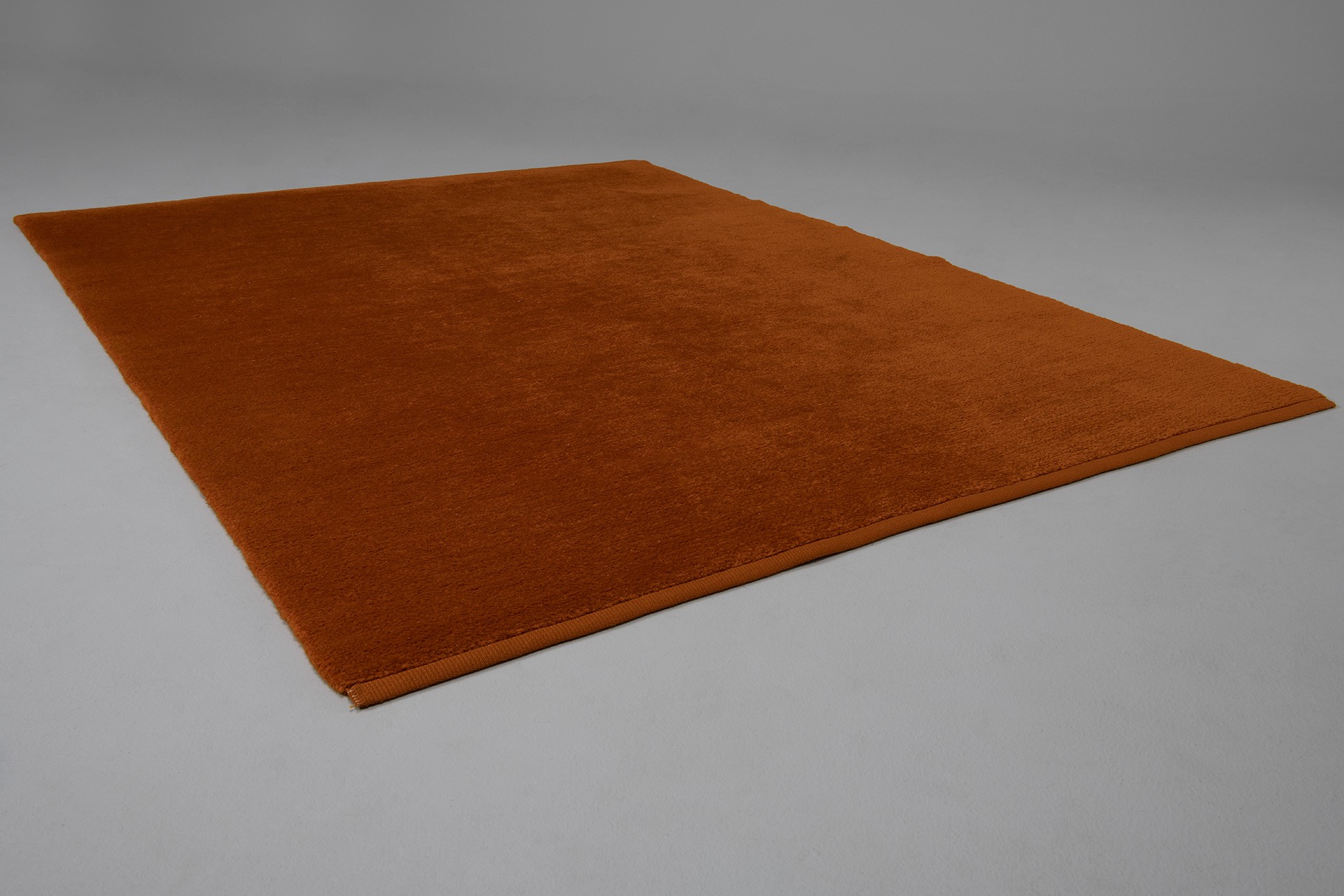 Double Sided Carpet image 3