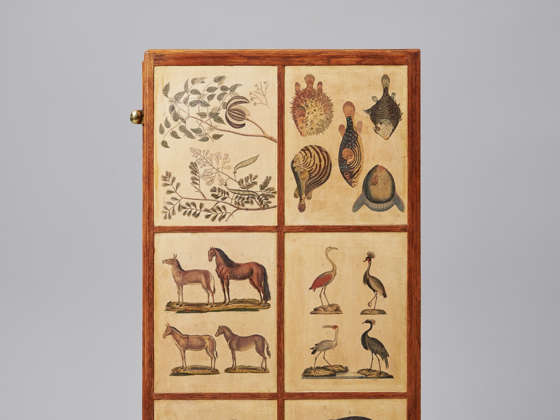 'Animal' Cabinet image 8