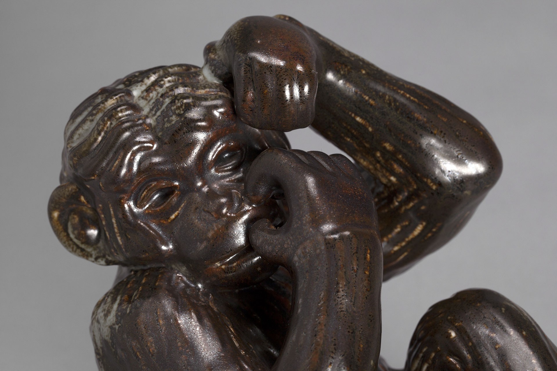Monkey image 3