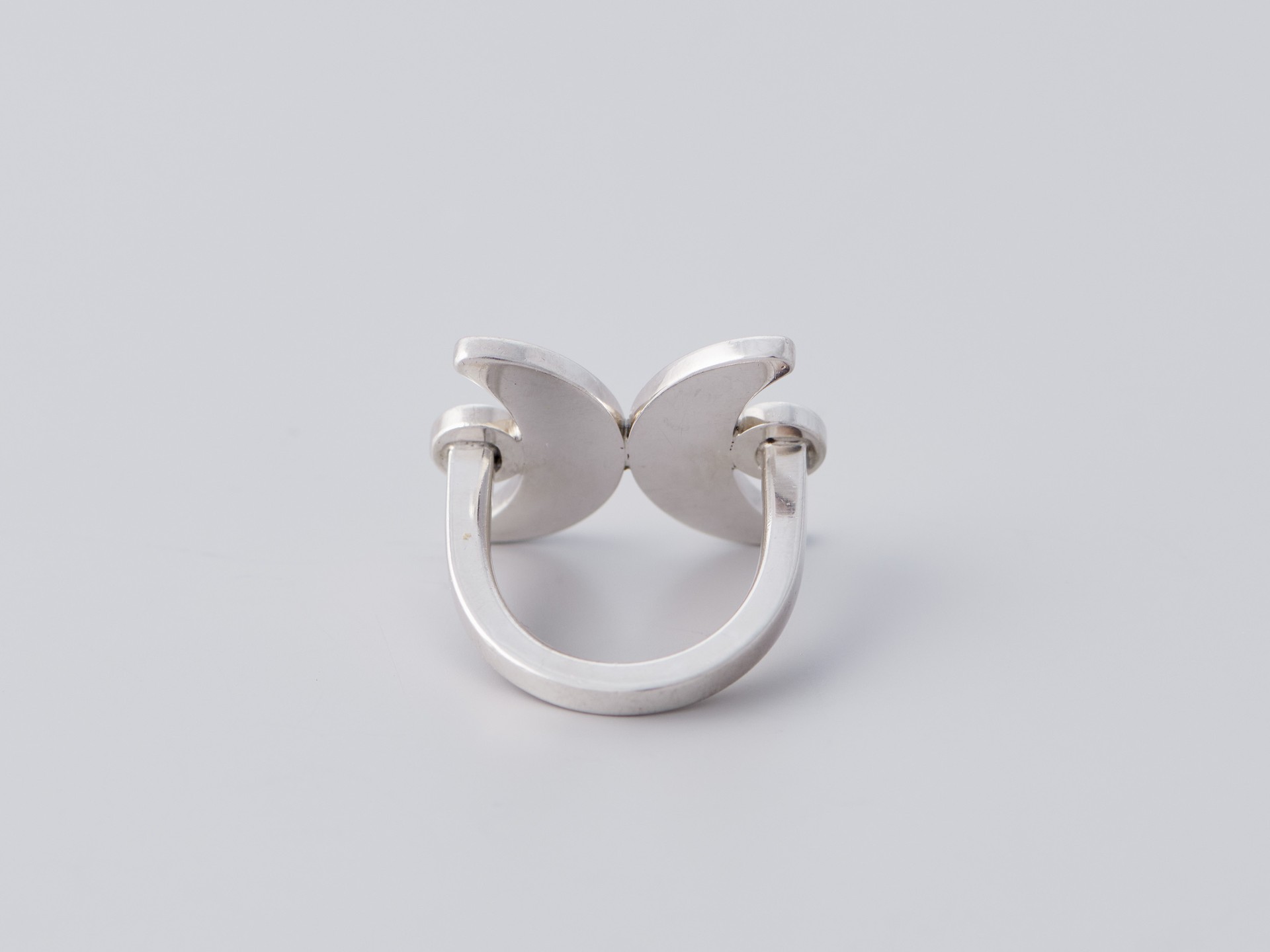 Ring image 3