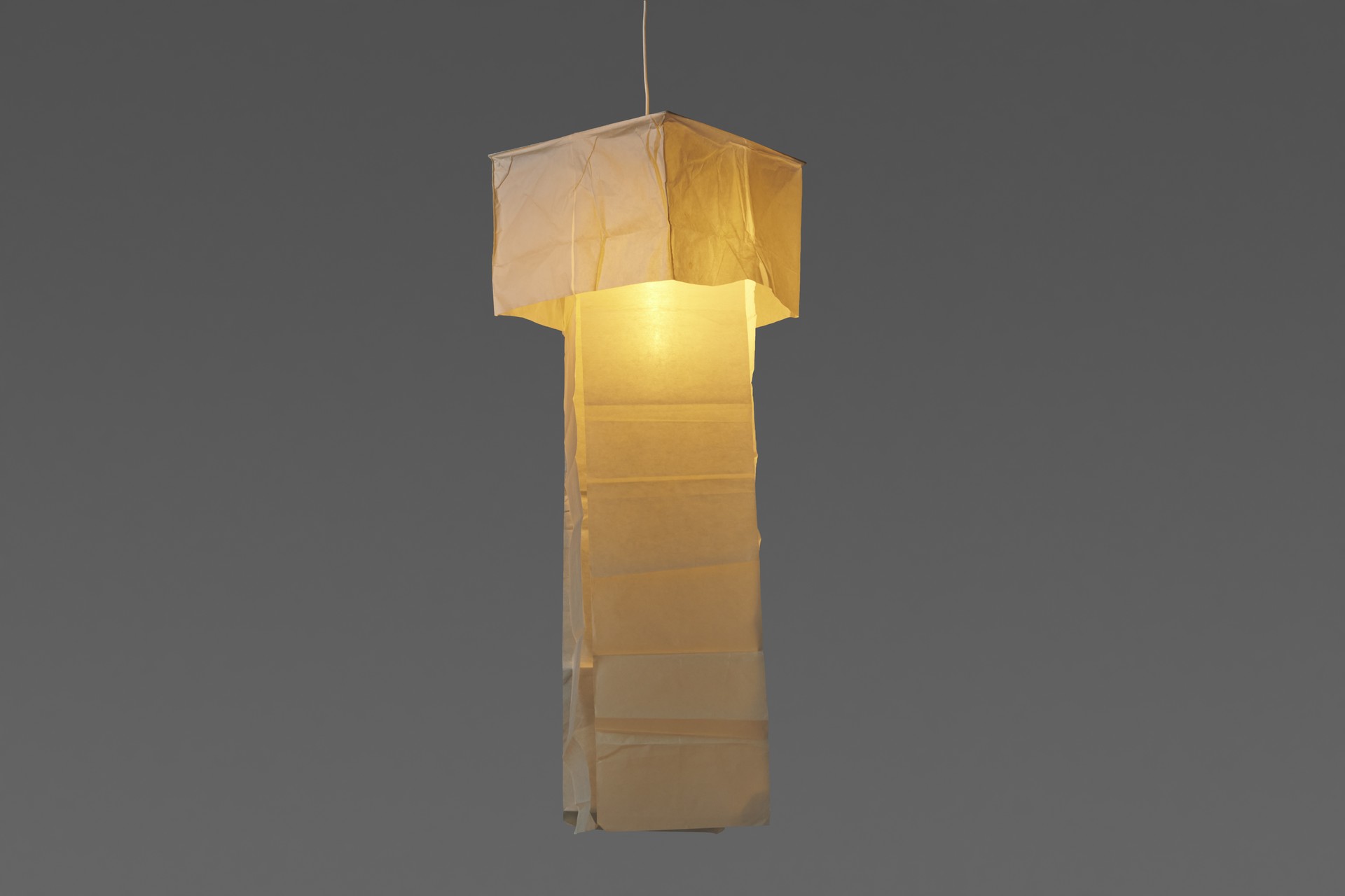 Ceiling Lamp image 2