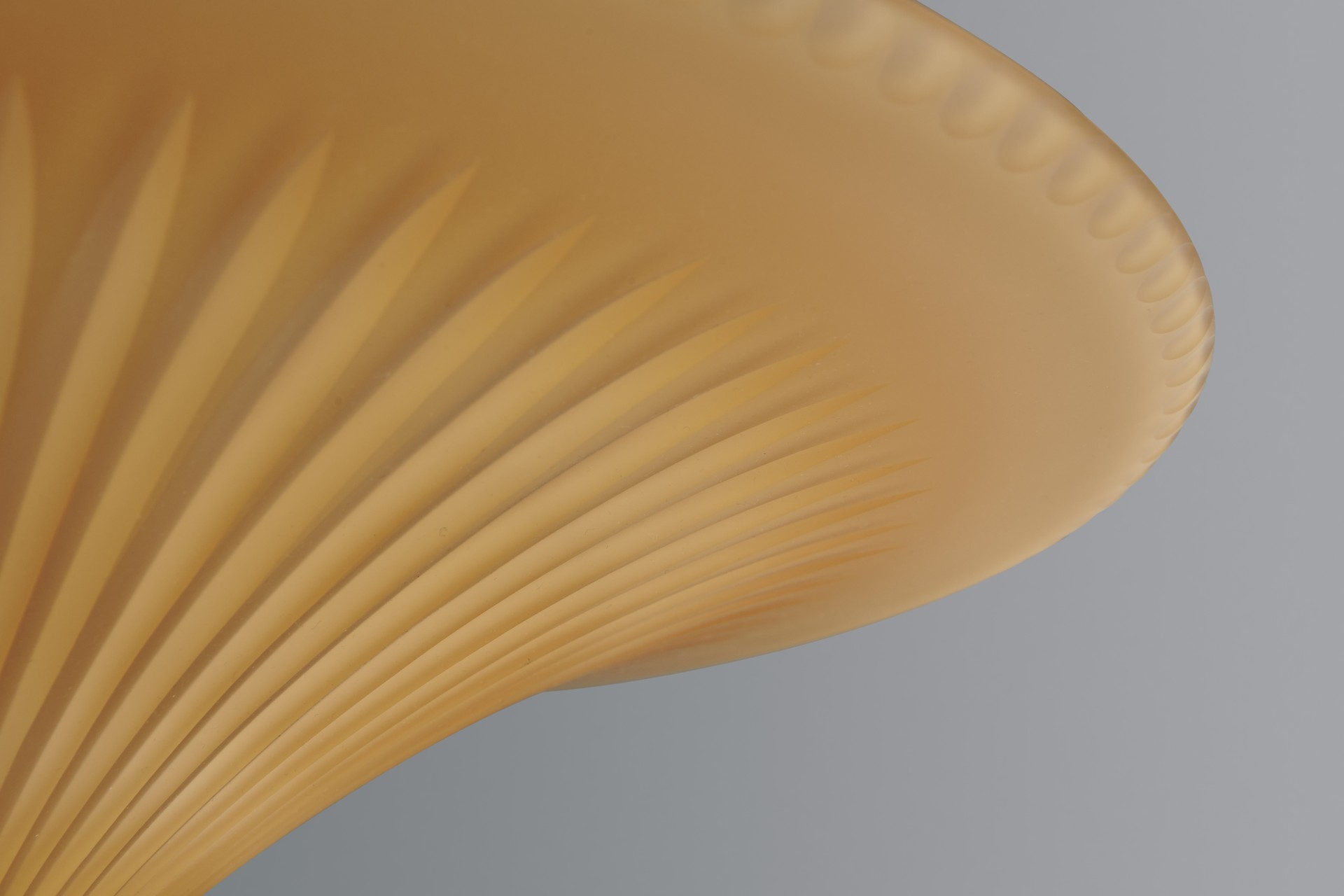 Ceiling Lamp image 8