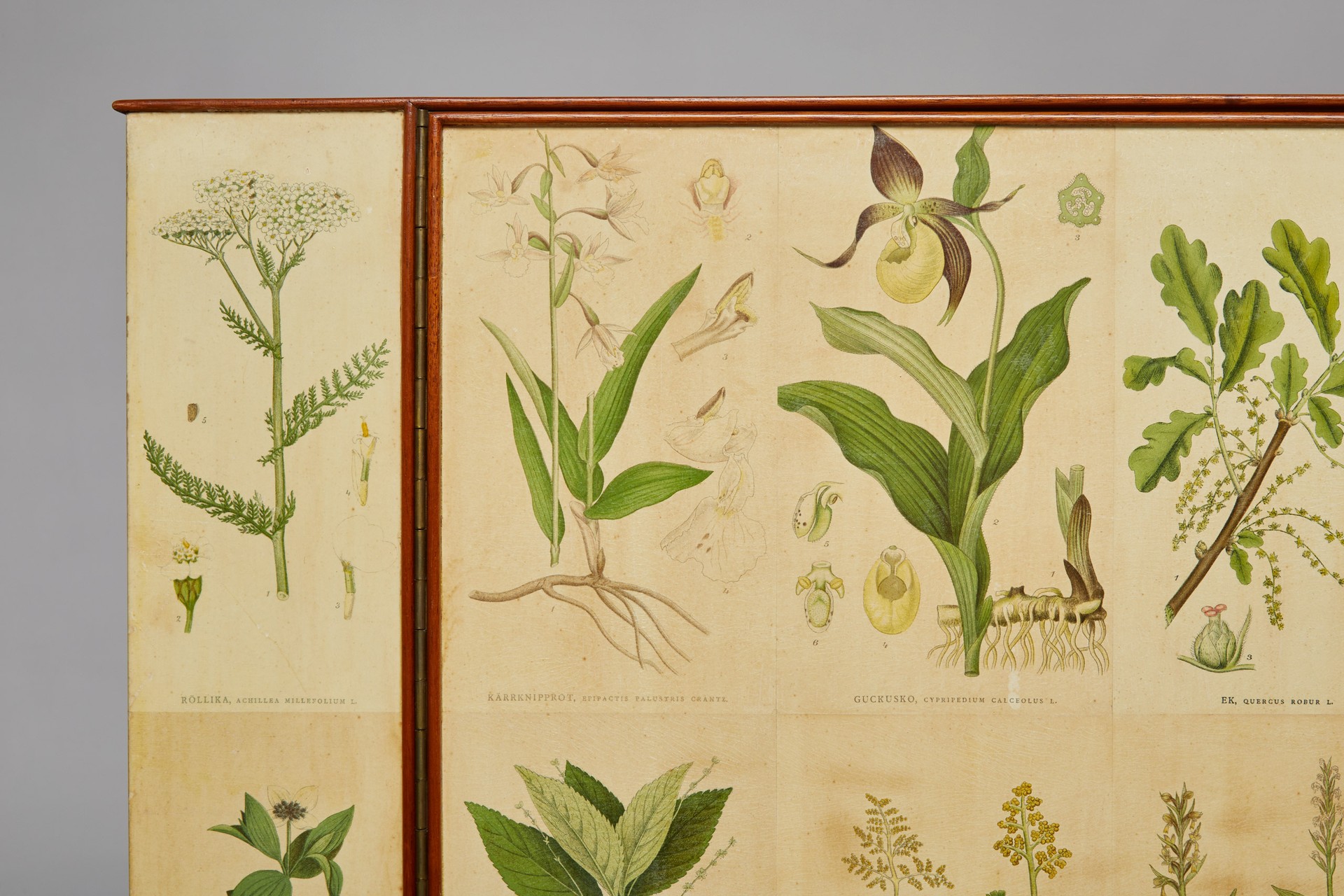 "Flora" Cabinet image 6