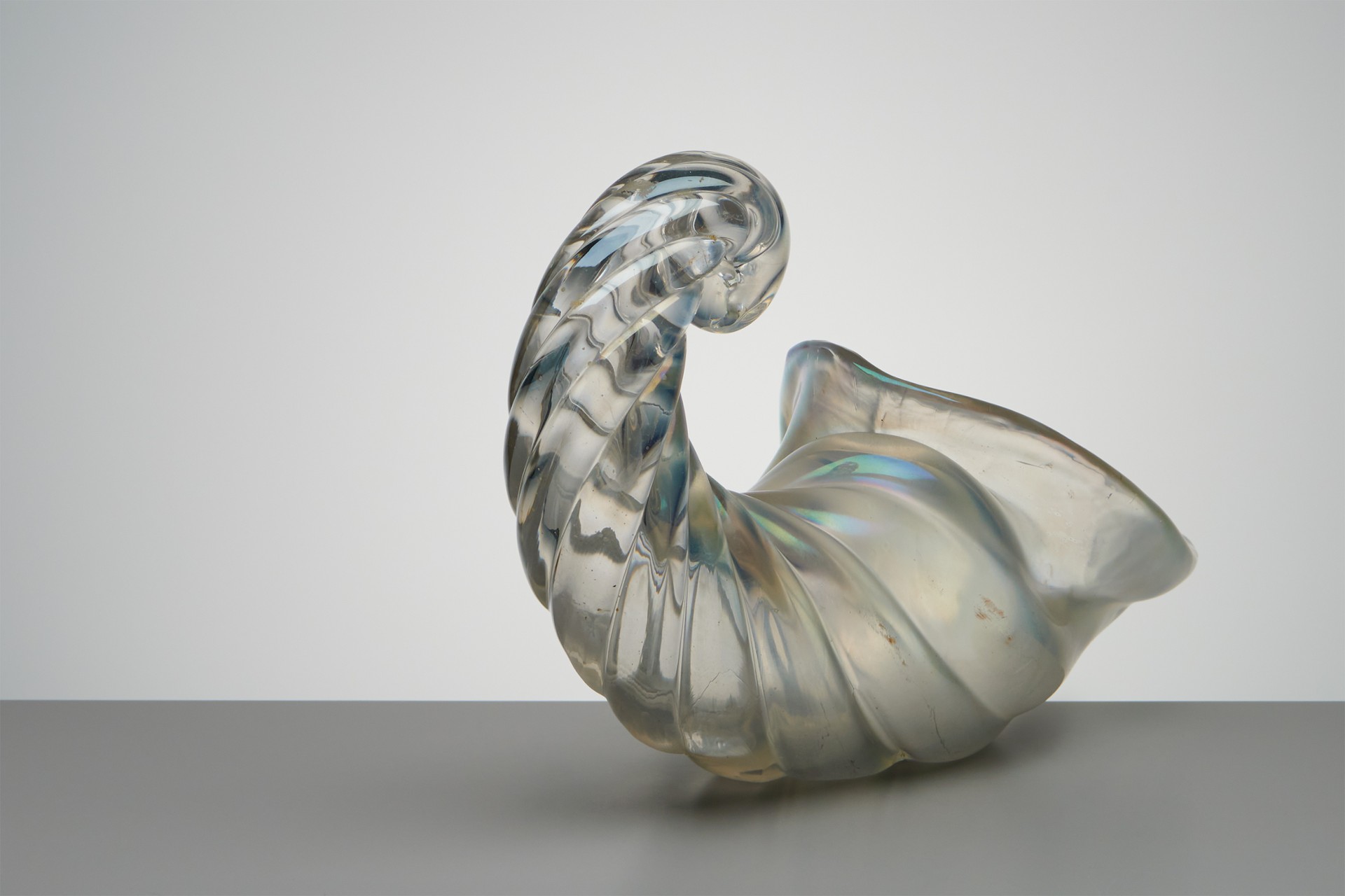 Pair of Glass Shells image 3