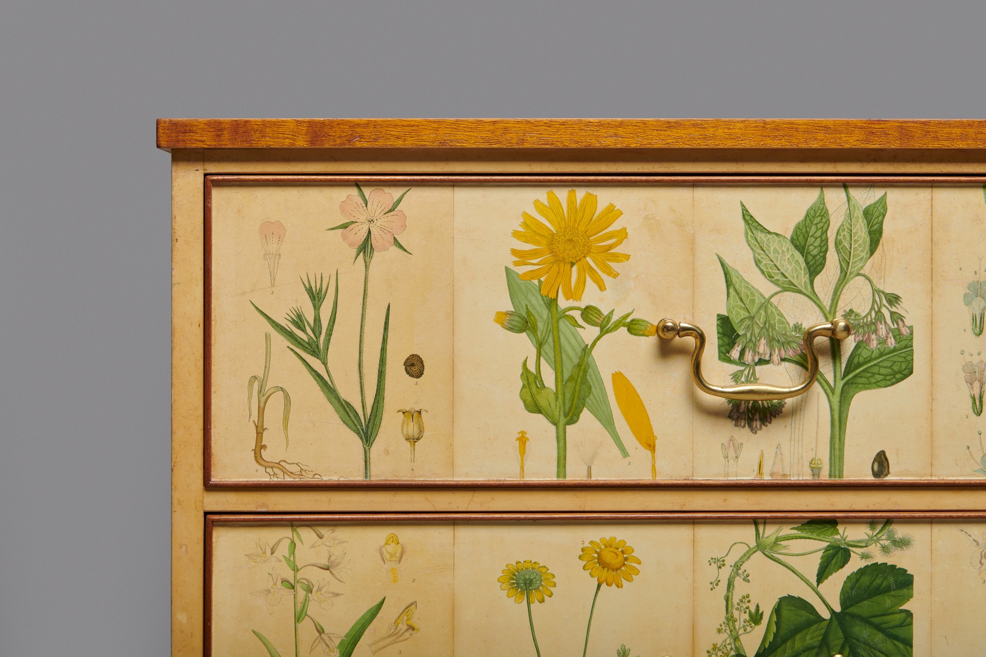'Flora' Cabinet, Model no. 1050 image 6