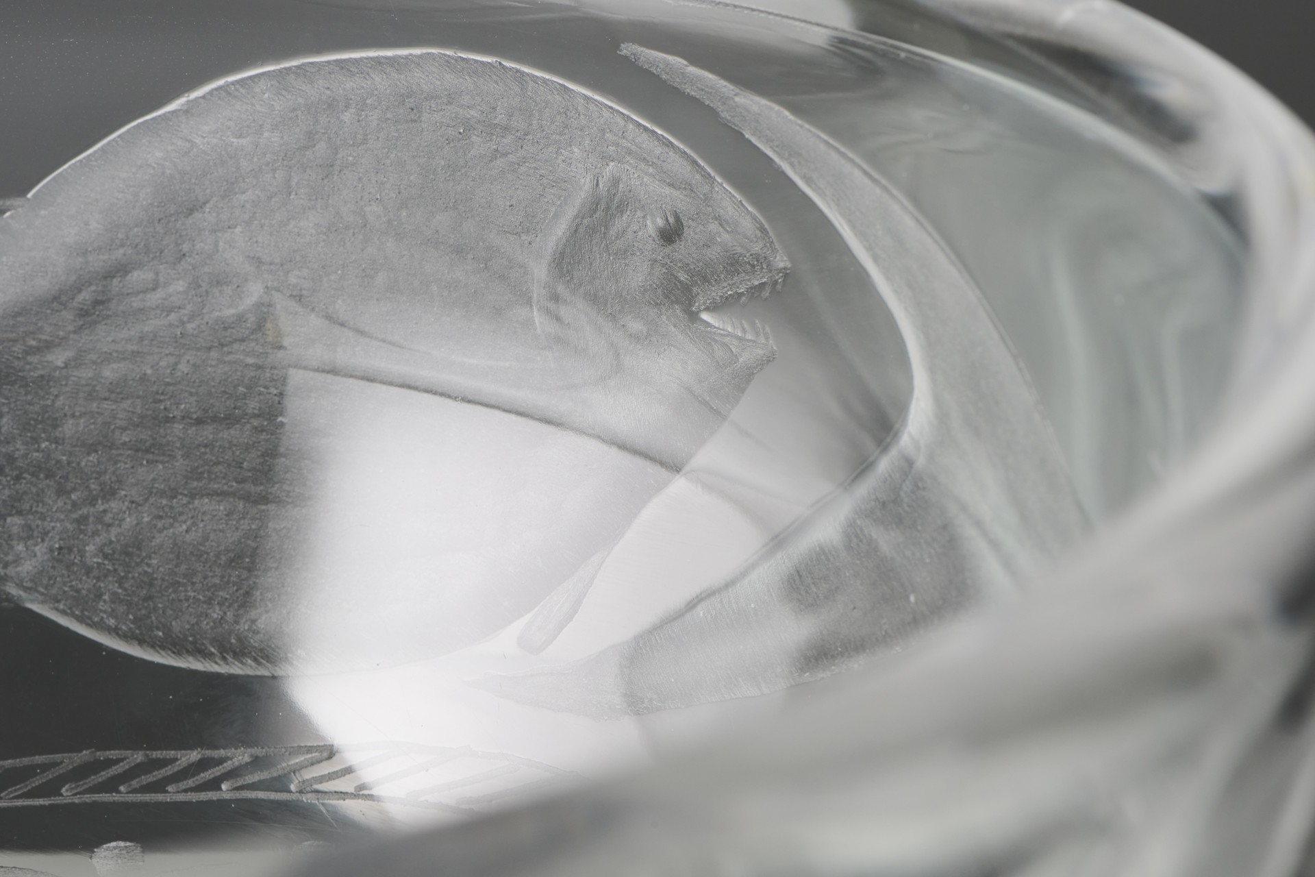 Bowl image 3