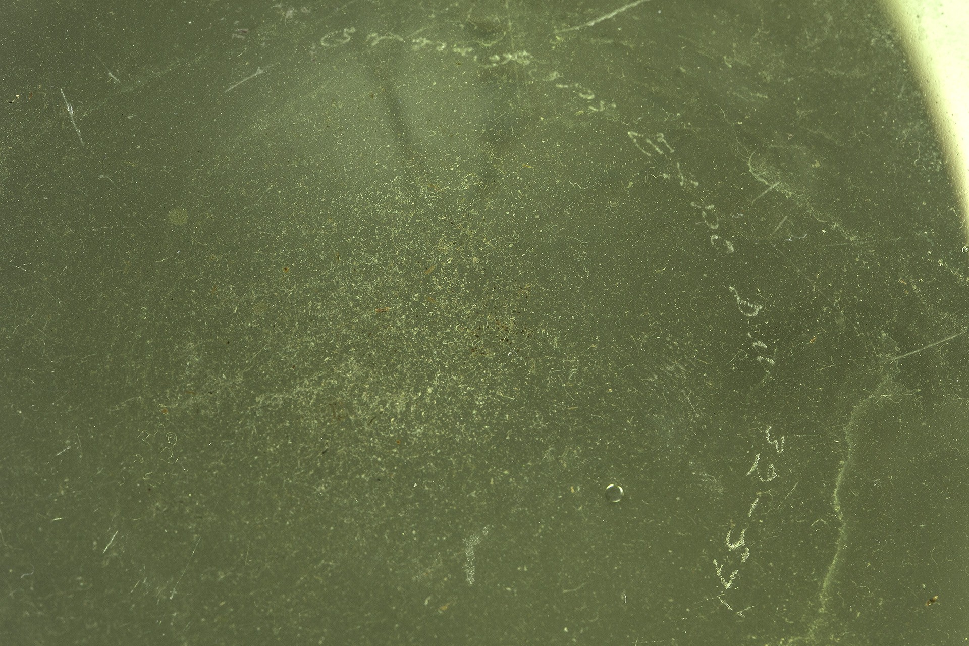 'Apple' Vase image 5