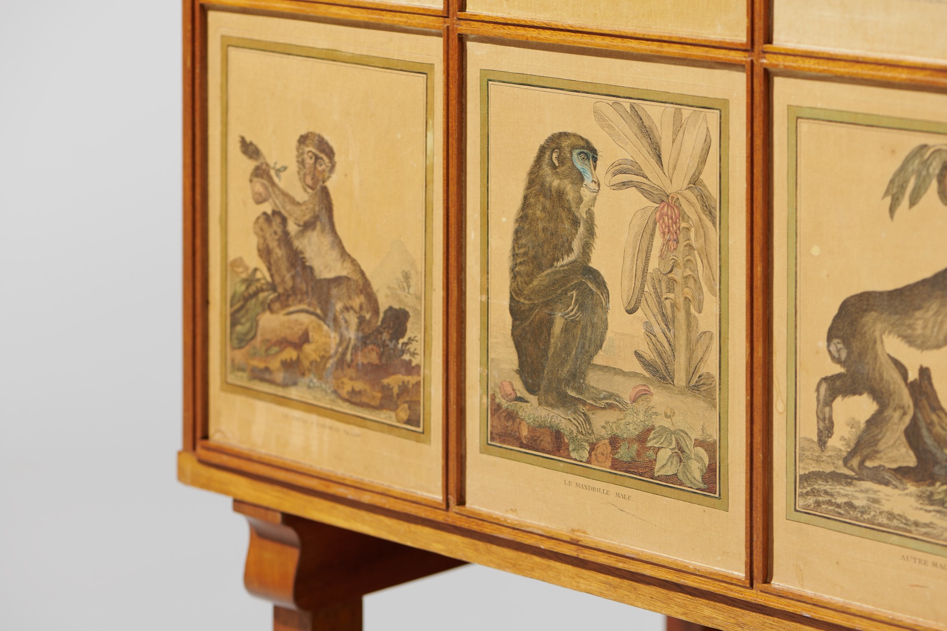 'Monkey' Cabinet image 8