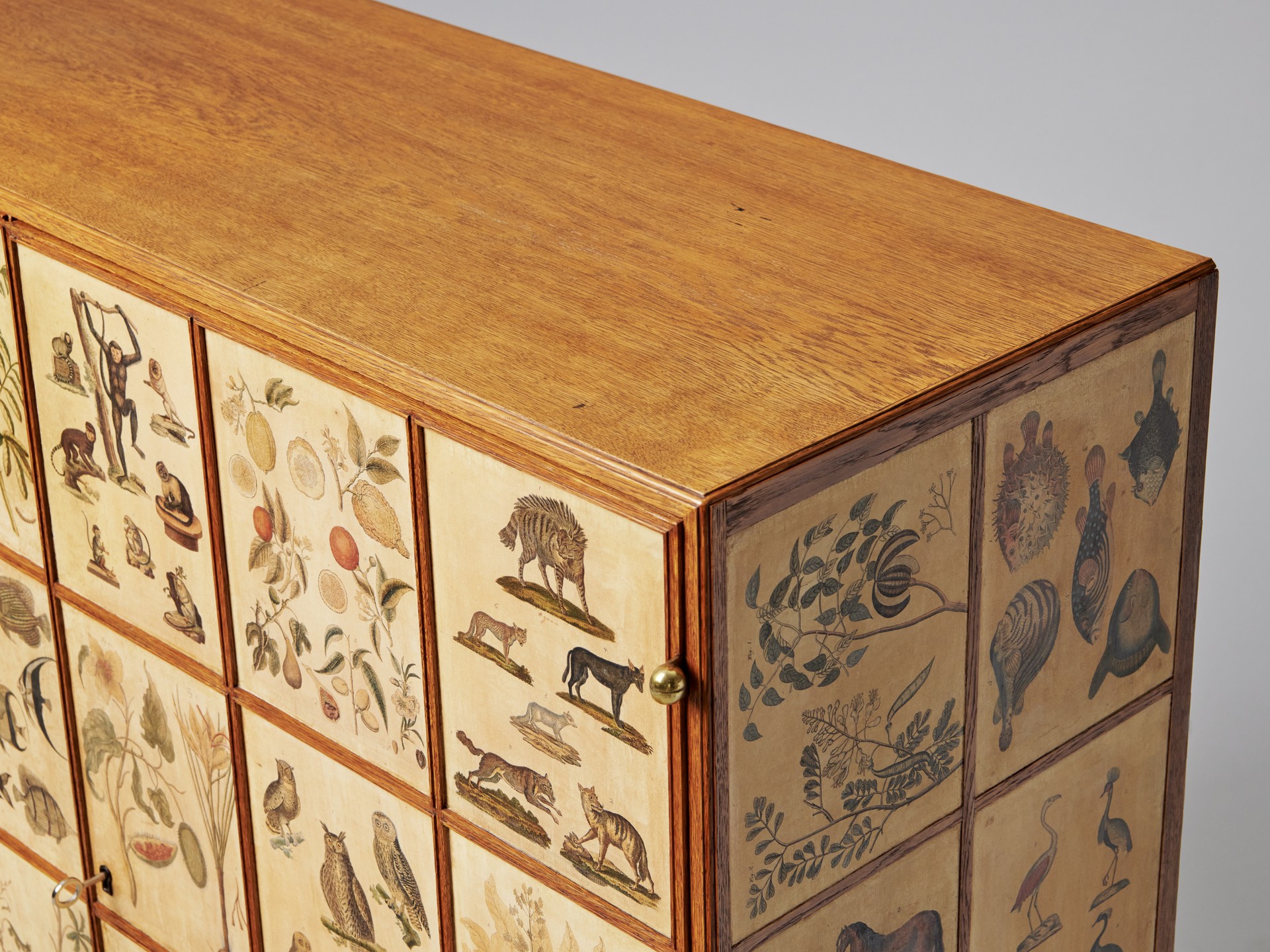 'Animal' Cabinet image 17