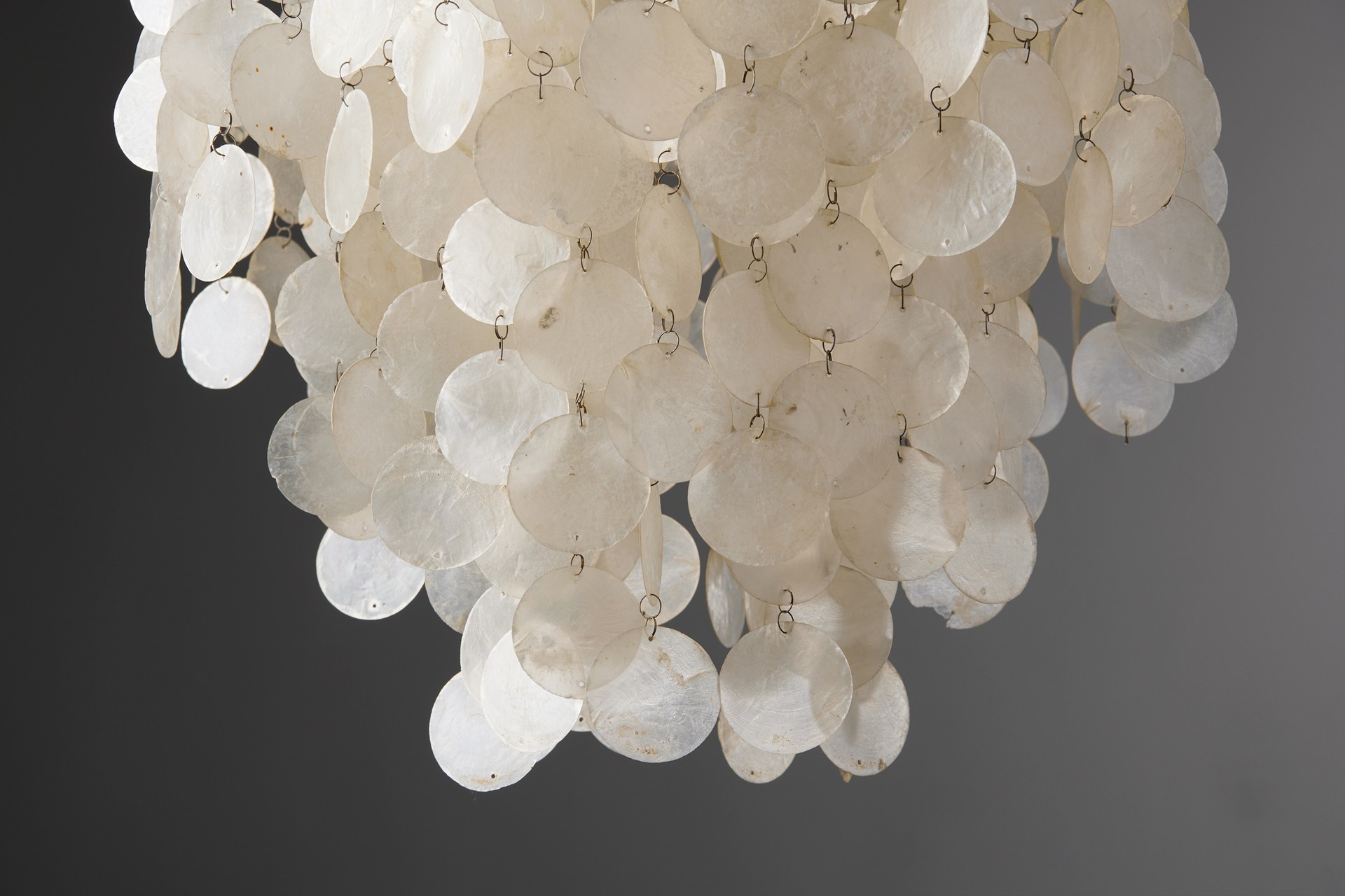 Pair of Shell Lamps image 3