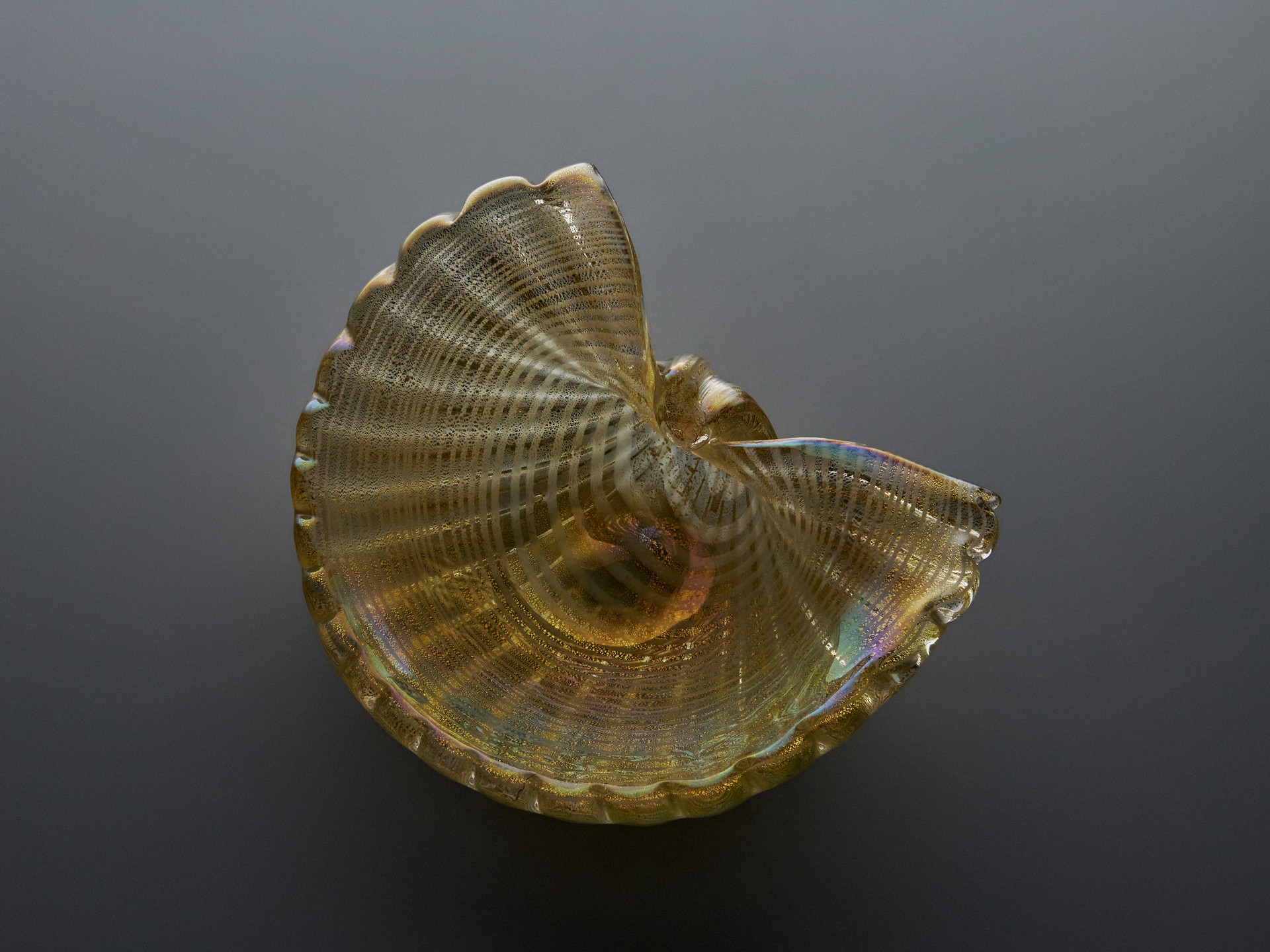 Shell Bowl image 4