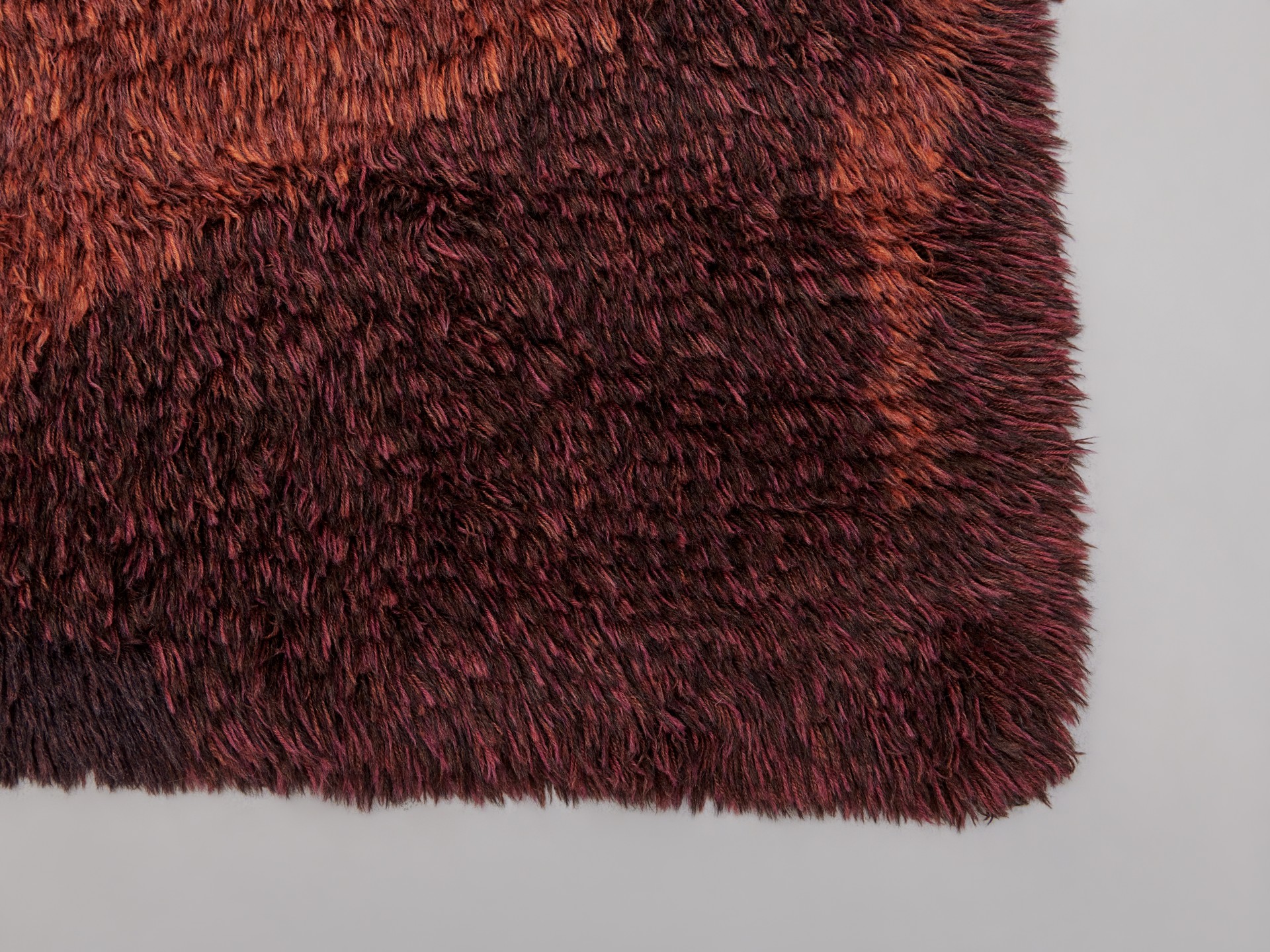 Carpet image 5