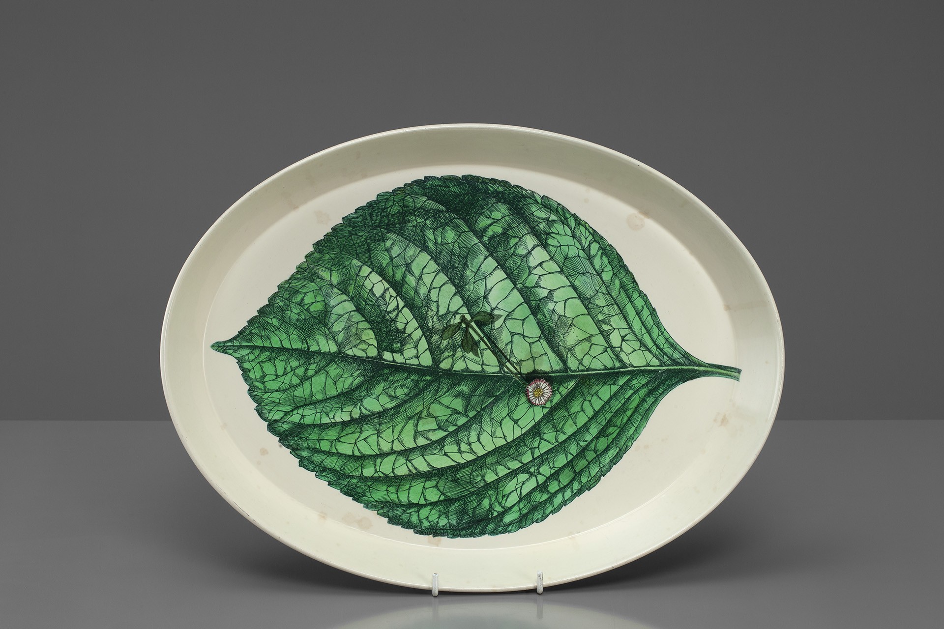 Tray image 2