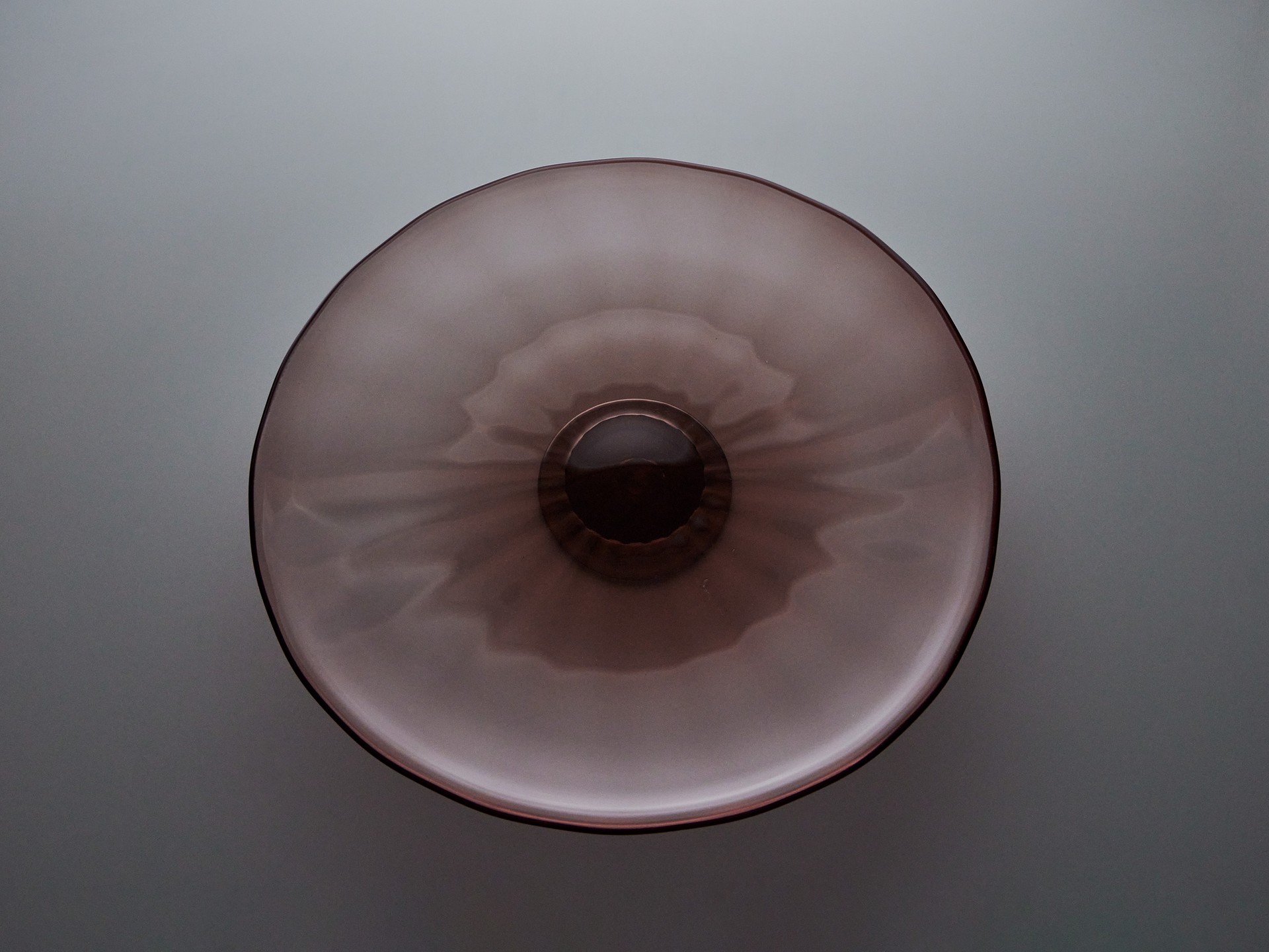 Large Dish image 3