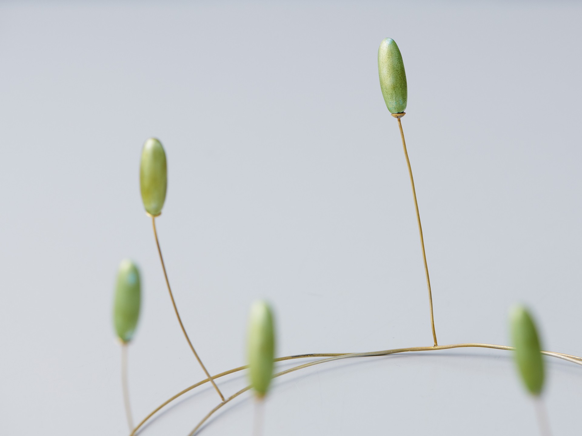 Tiara 'Fruit' image 6
