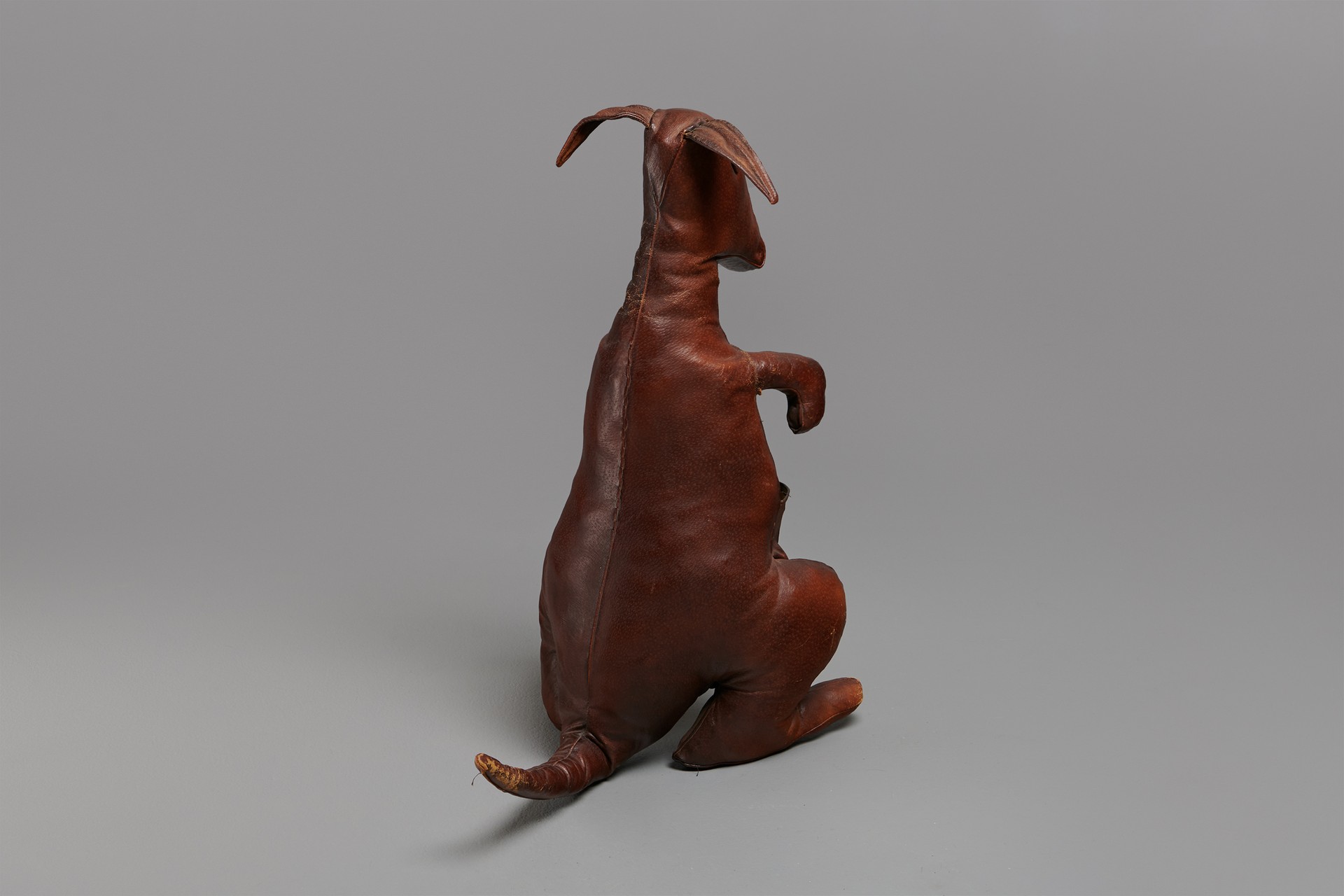 Kangaroo image 2