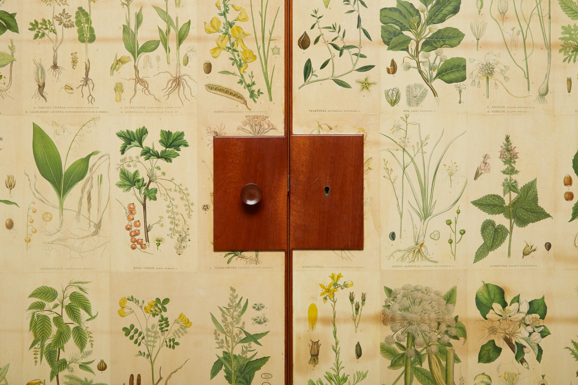 "Flora" Cabinet image 9