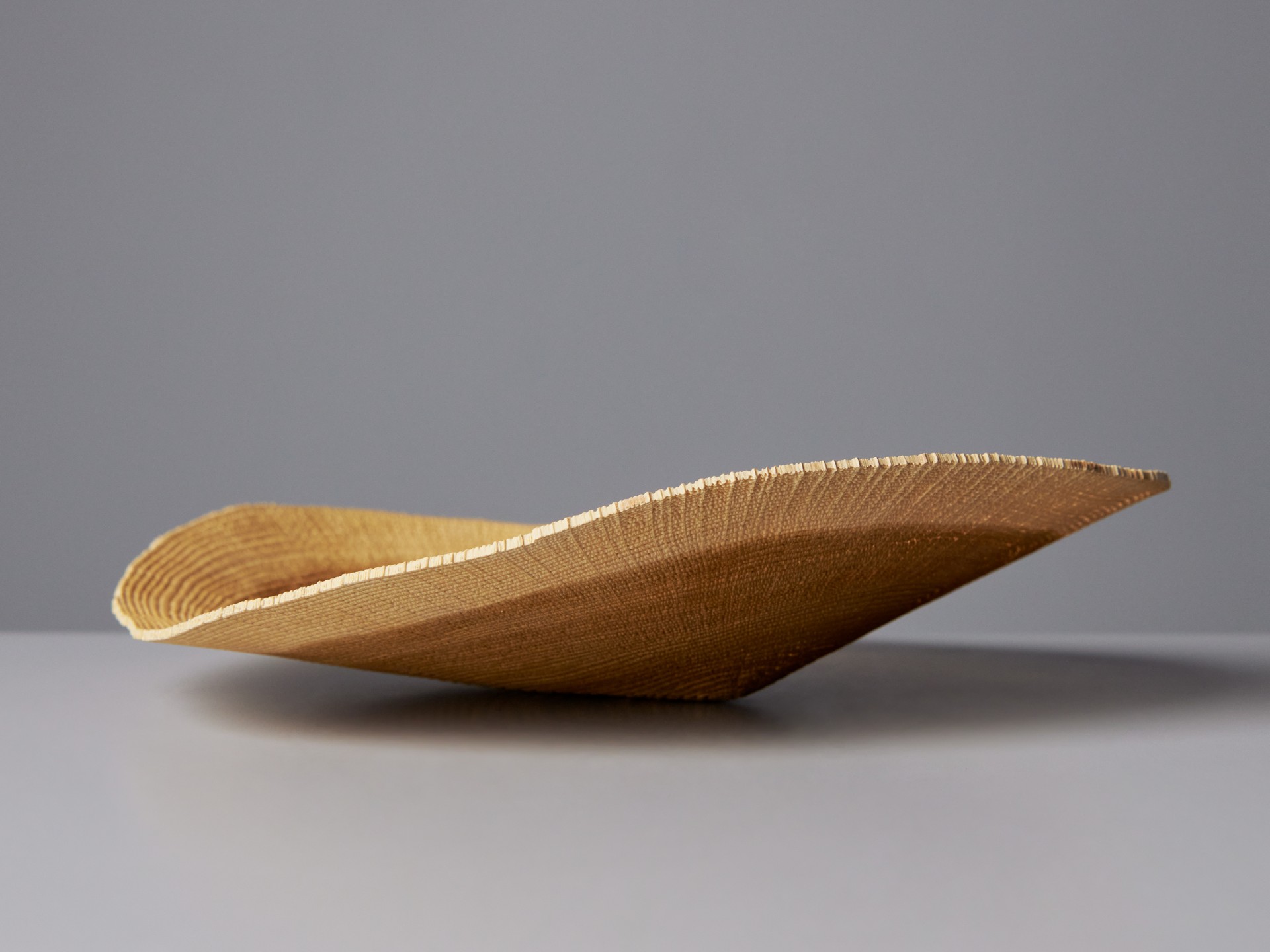 Platter image 2