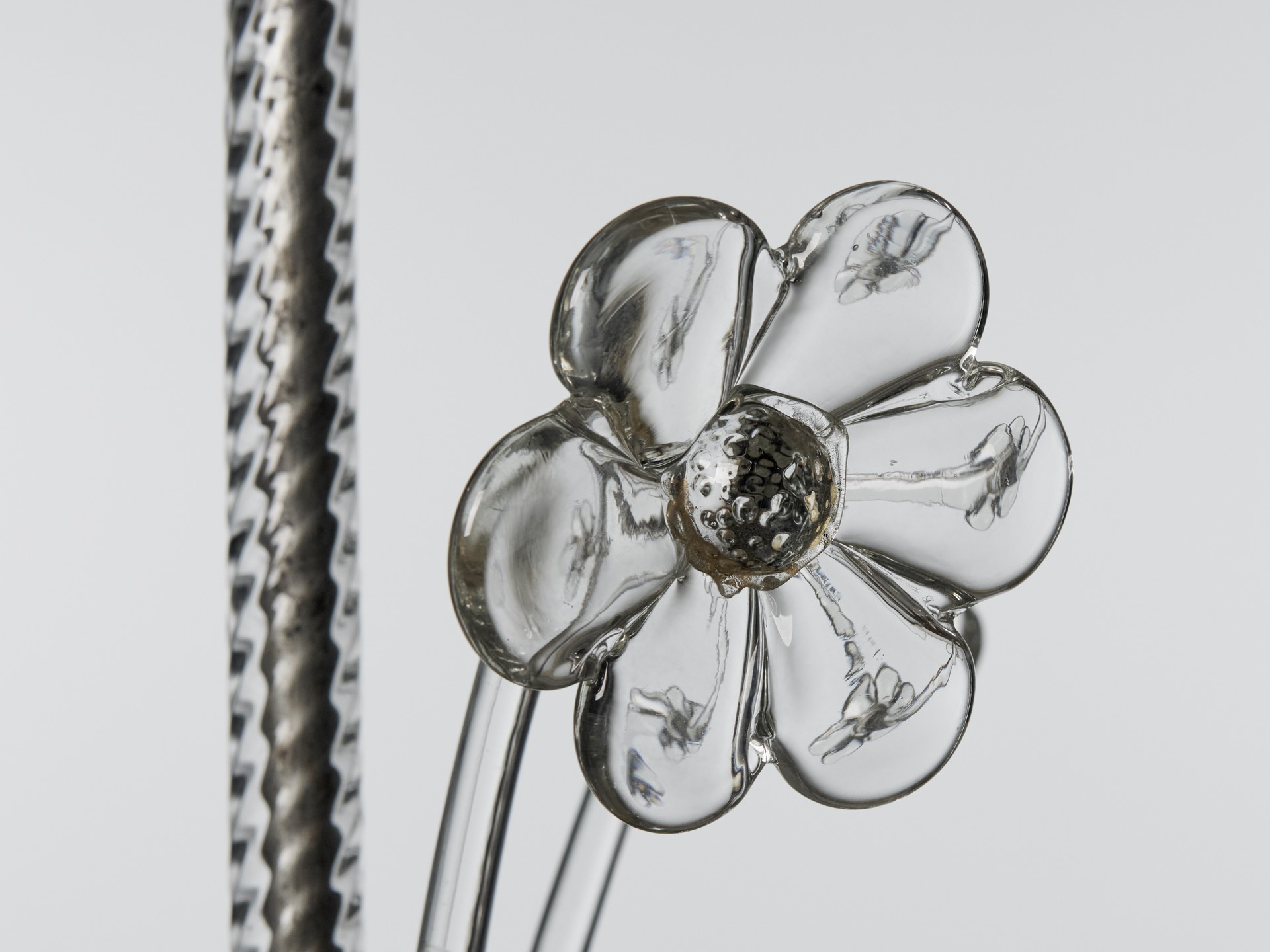 Ceiling Lamp image 6