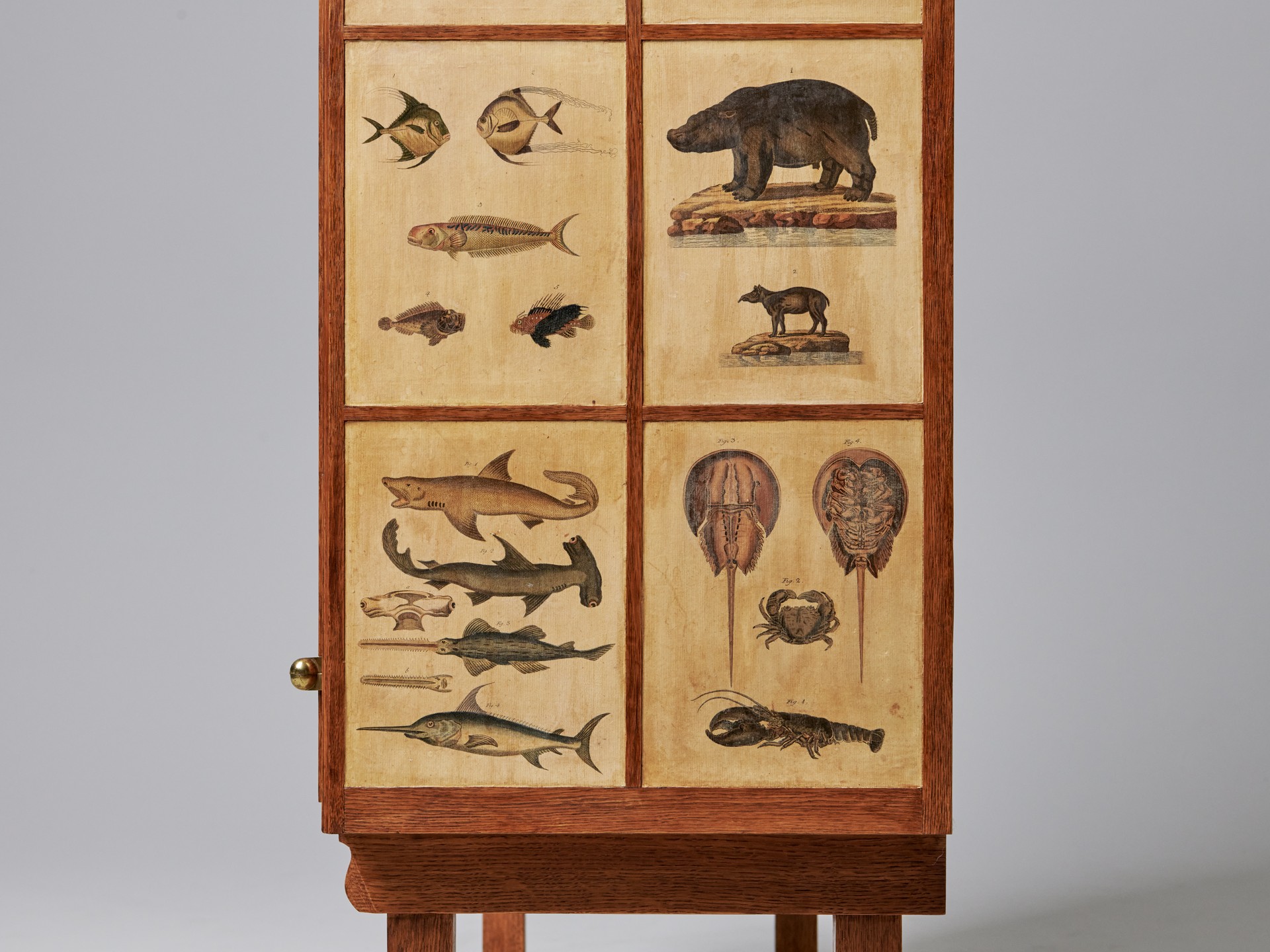 'Animal' Cabinet image 10