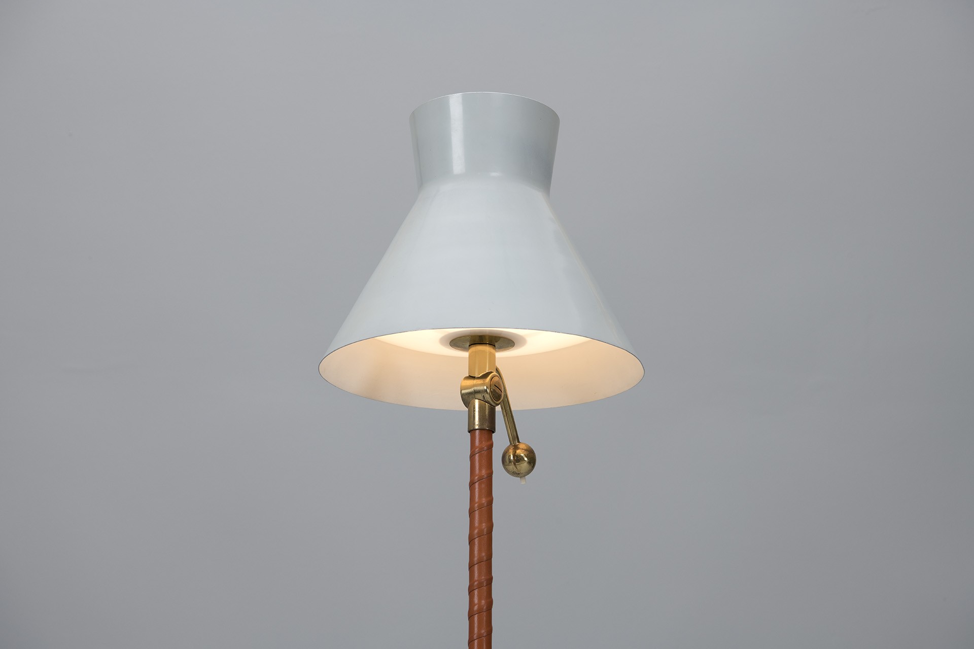 Tilting Floor Lamp image 5