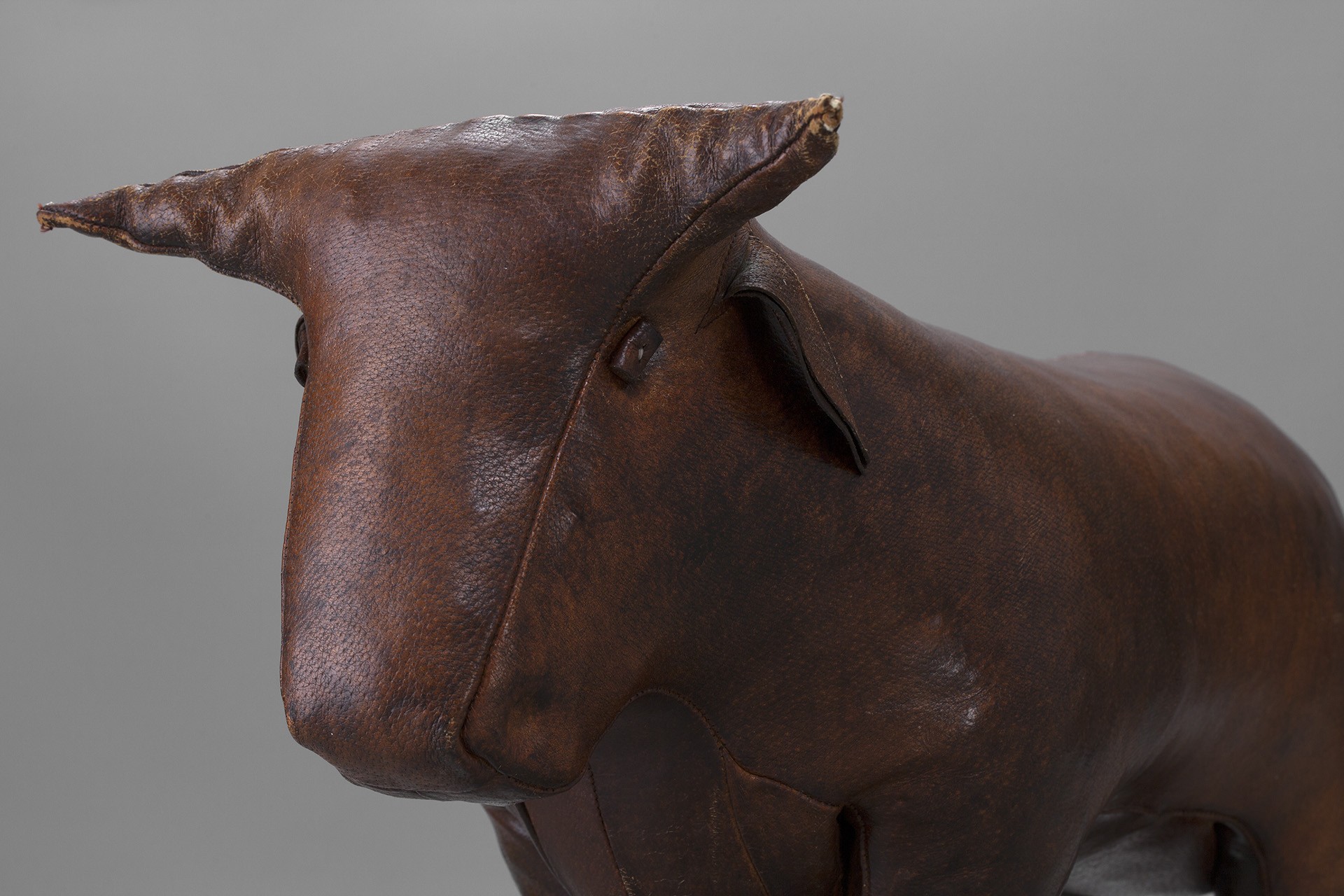Bull image 4