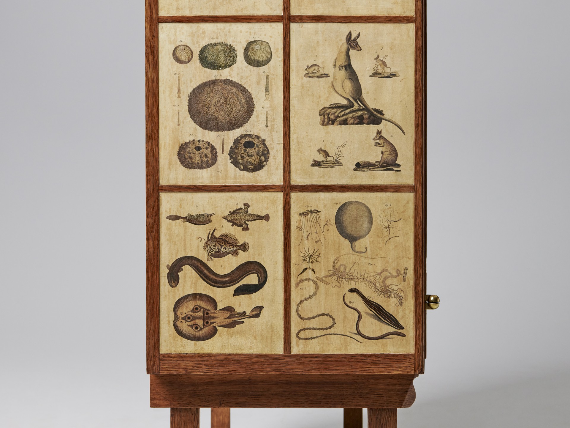 'Animal' Cabinet image 11