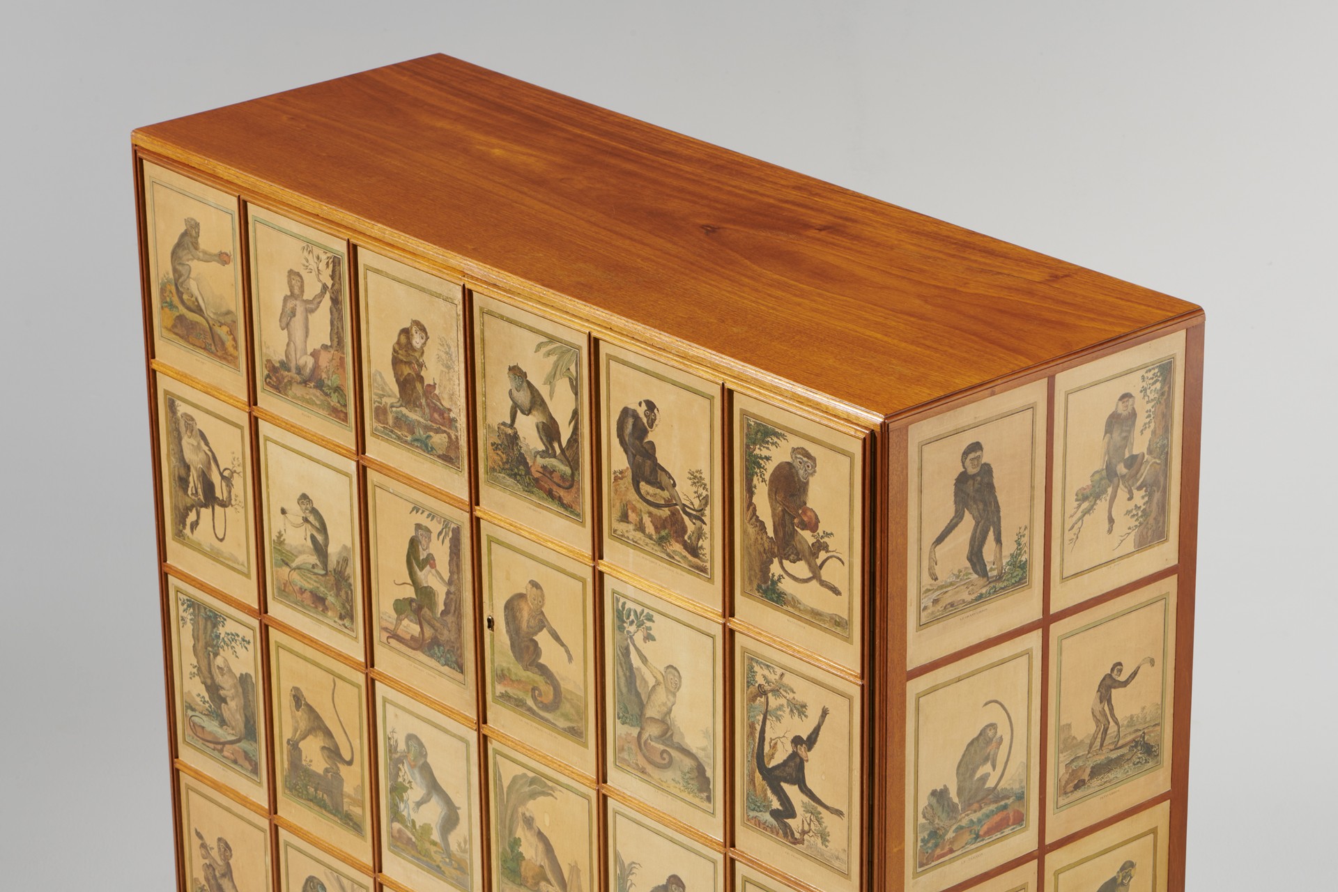 'Monkey' Cabinet image 11