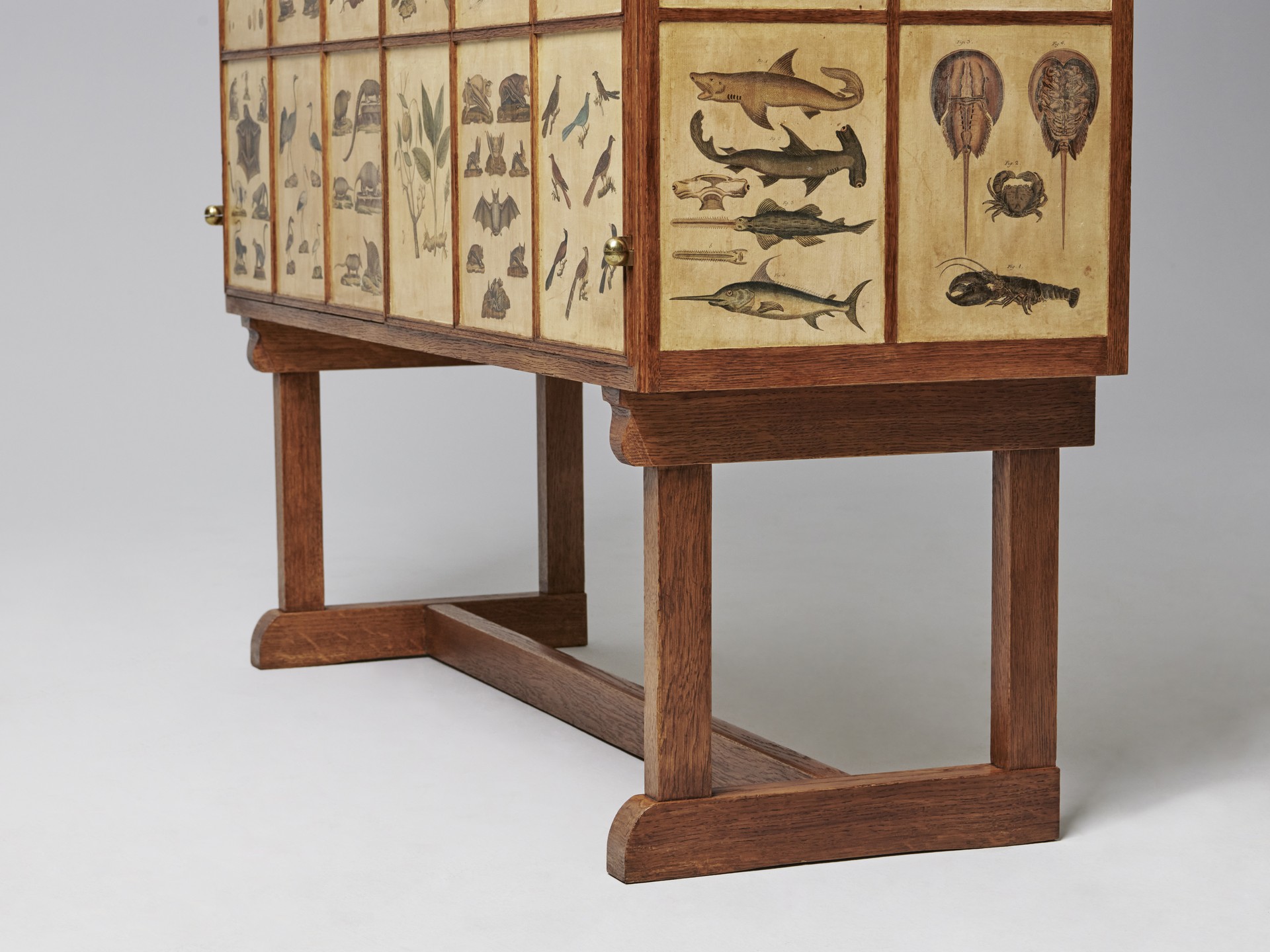 'Animal' Cabinet image 12